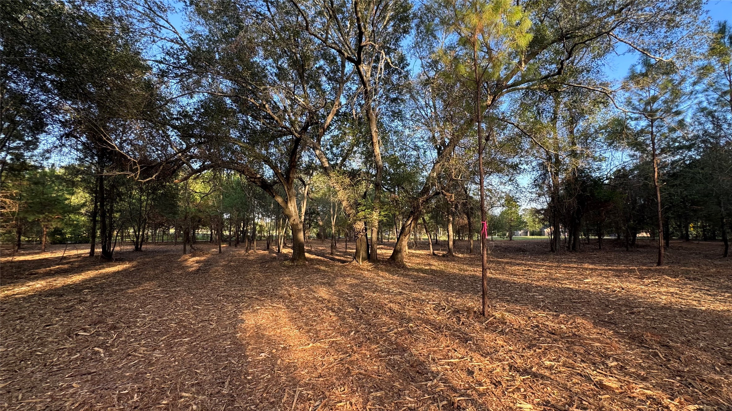 Tbd Fm 1791 Property Photo 7