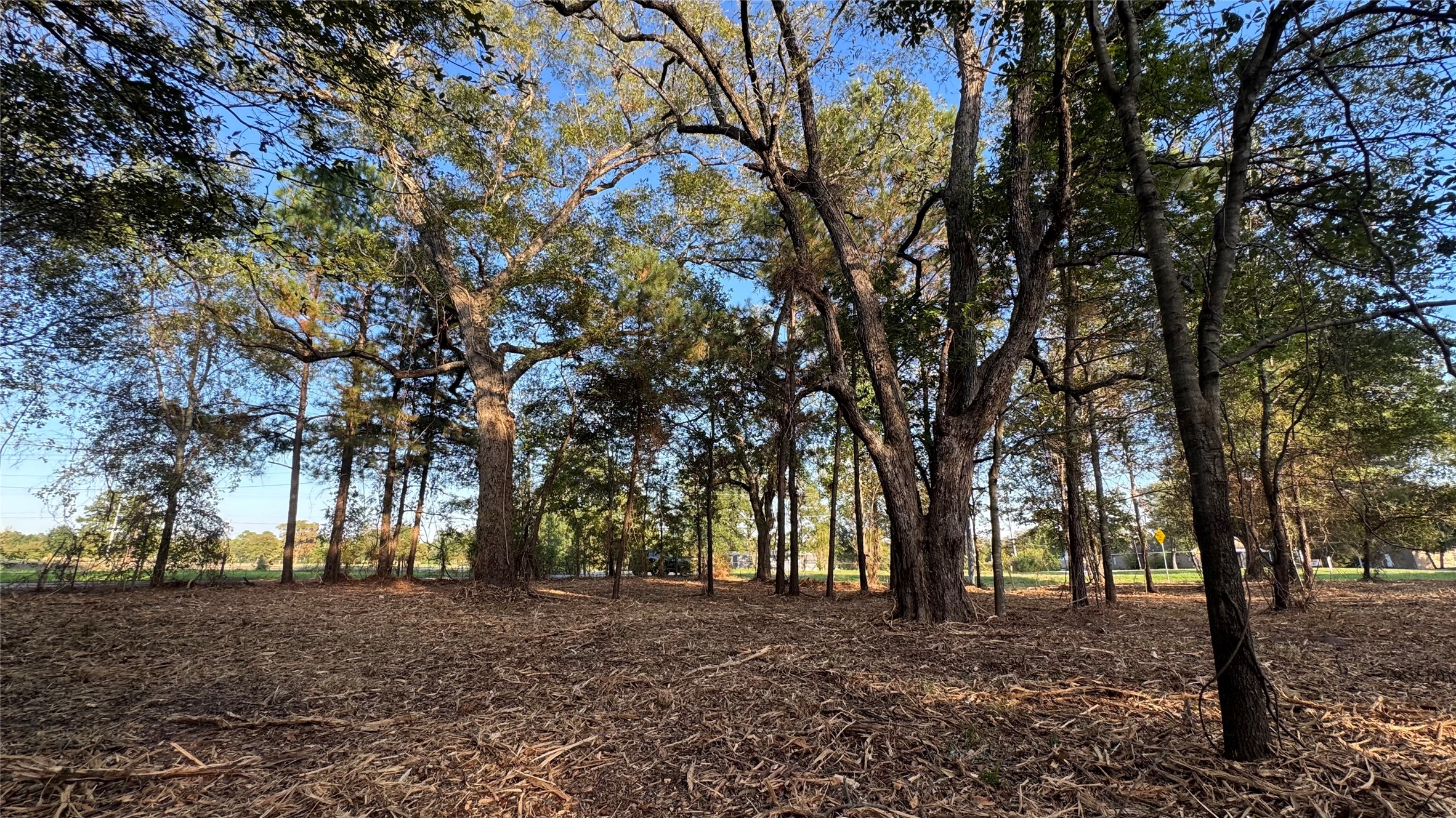 Tbd Fm 1791 Property Photo 8