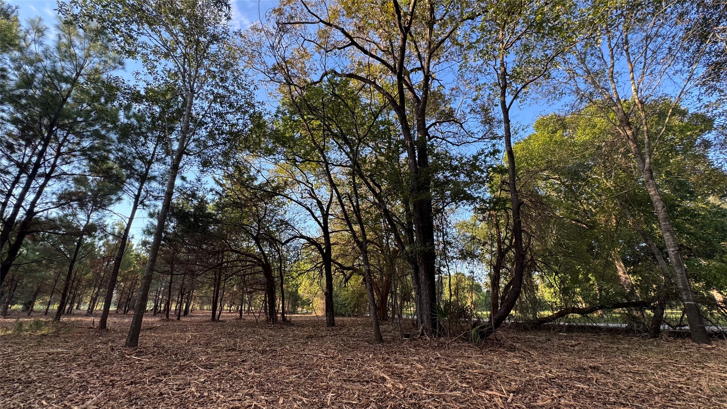 Tbd Fm 1791 Property Photo 9