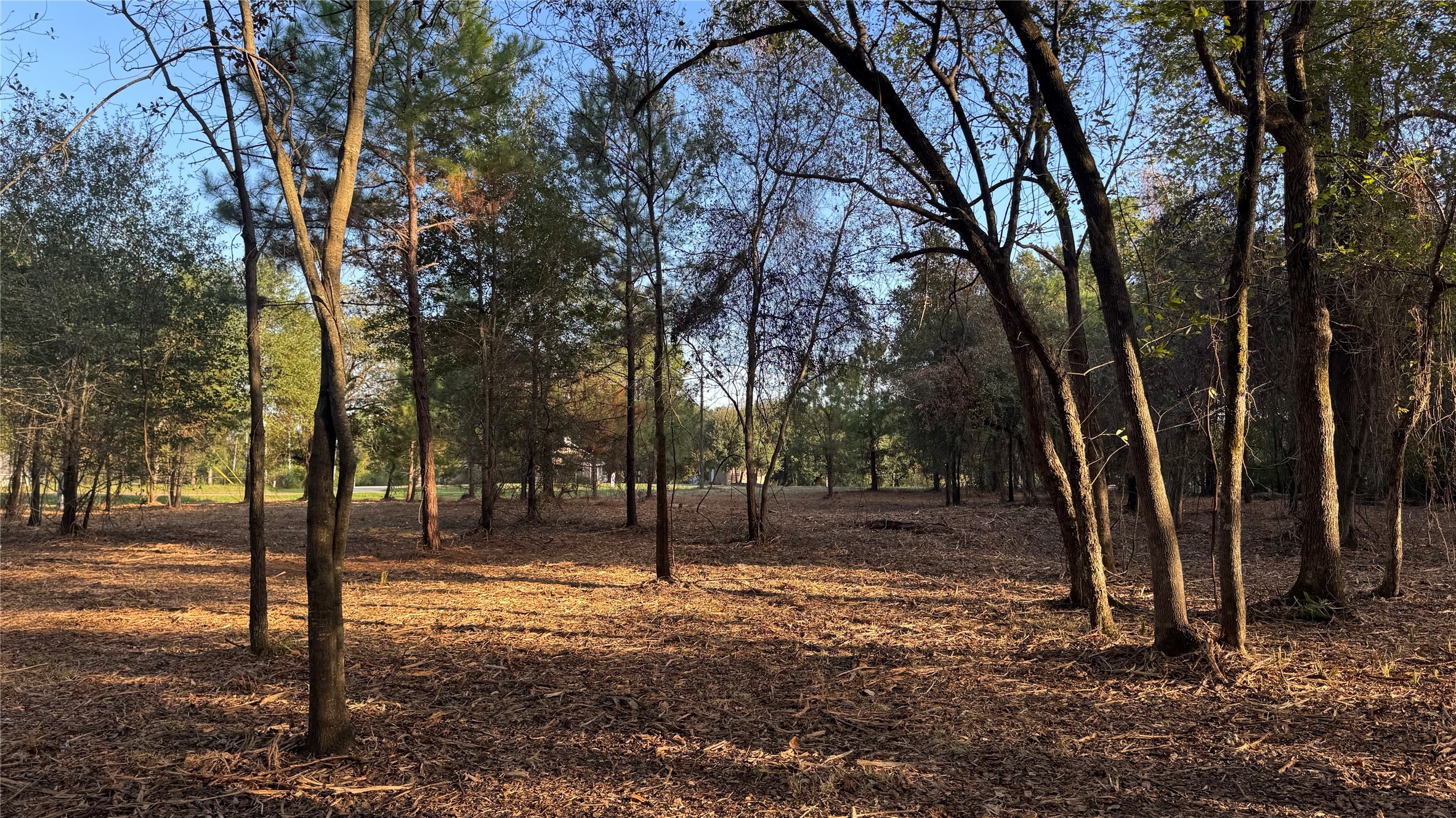 Tbd Fm 1791 Property Photo 10