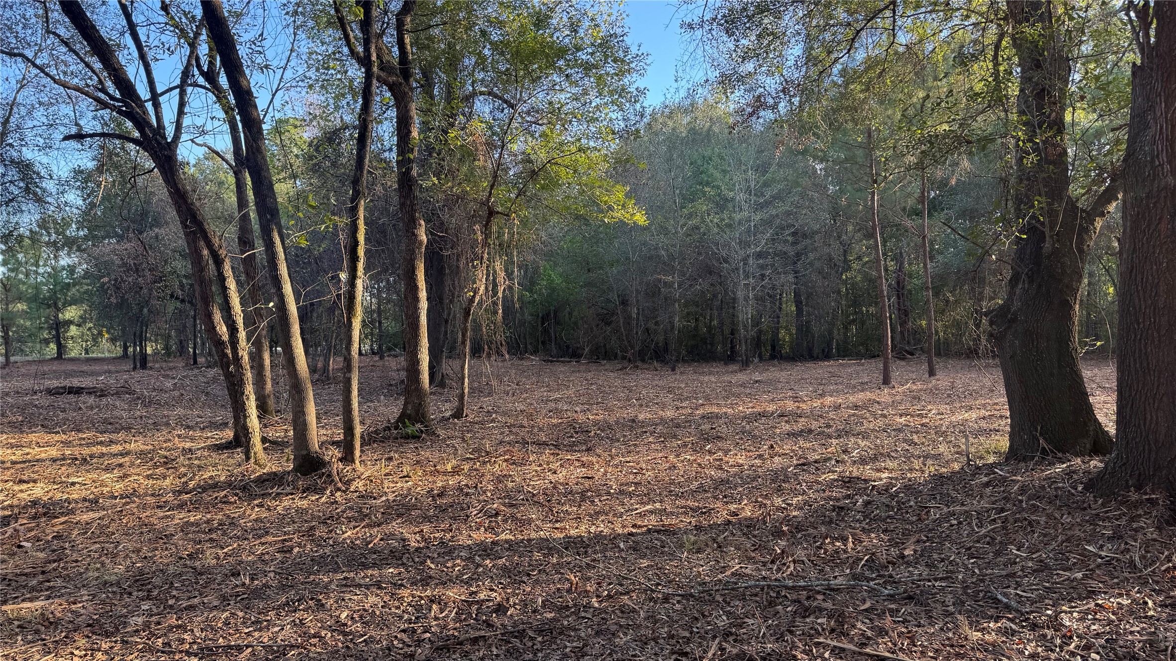 Tbd Fm 1791 Property Photo 11