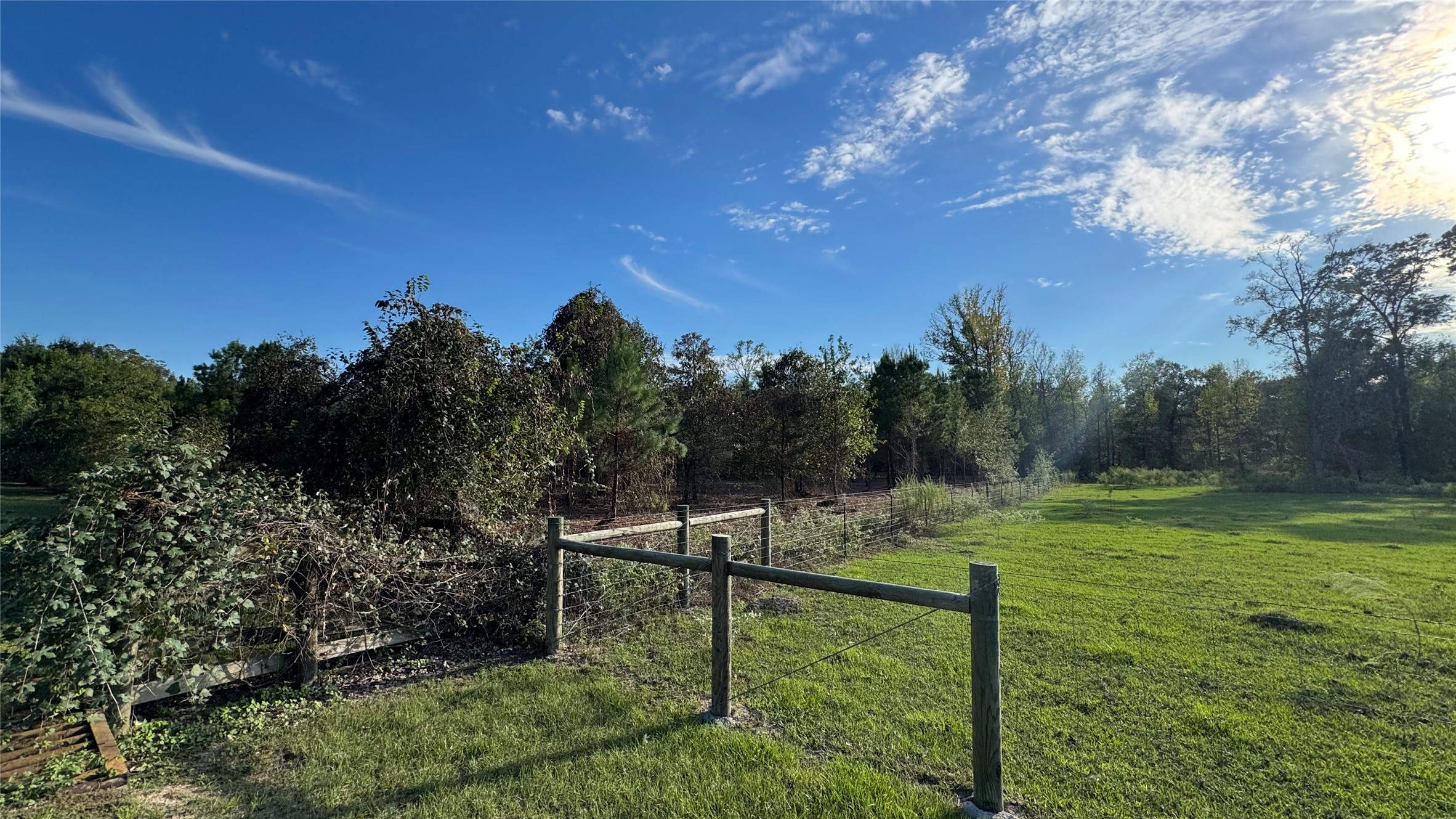 Tbd Fm 1791 Property Photo 13