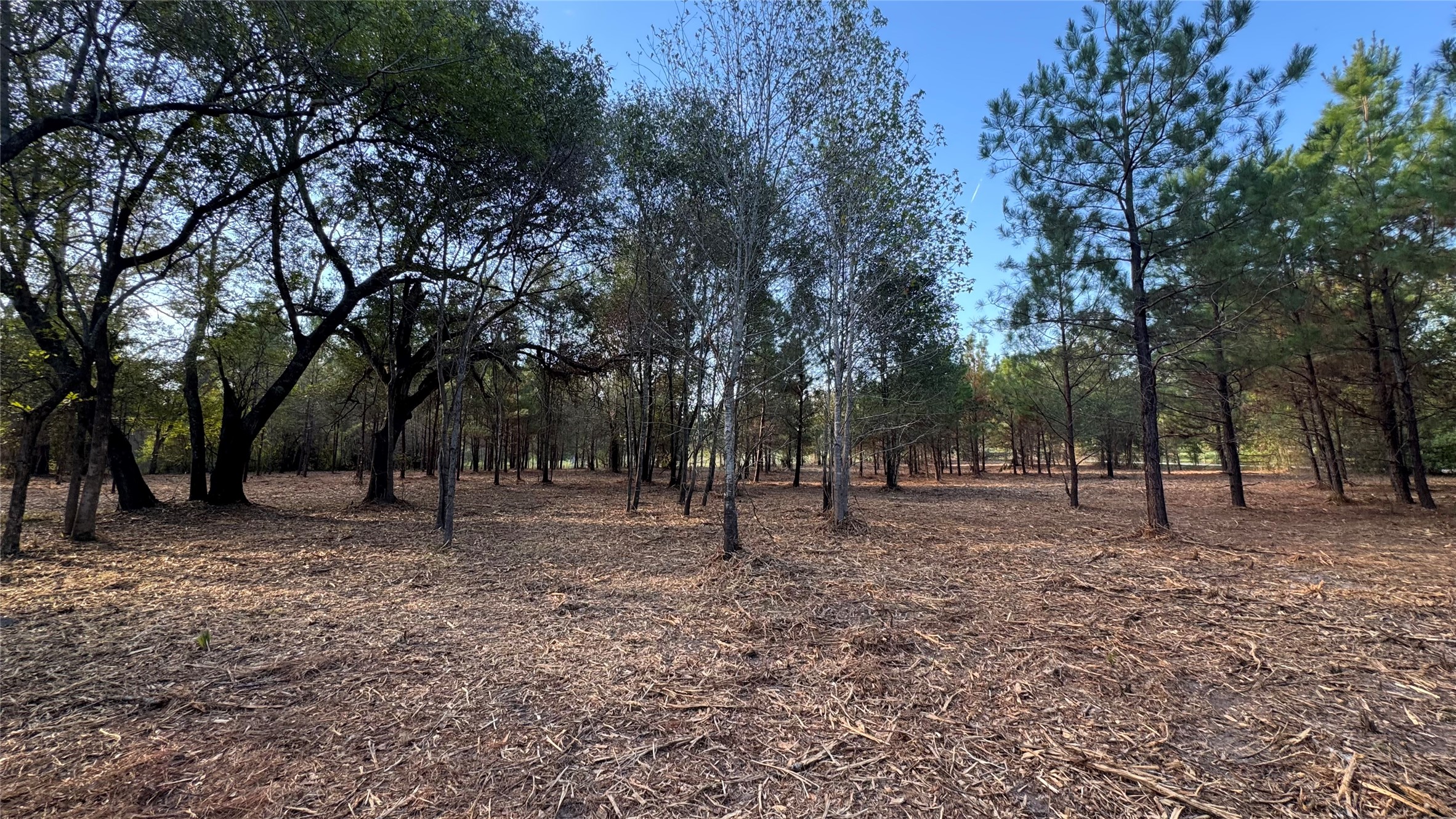 Tbd Fm 1791 Property Photo 16
