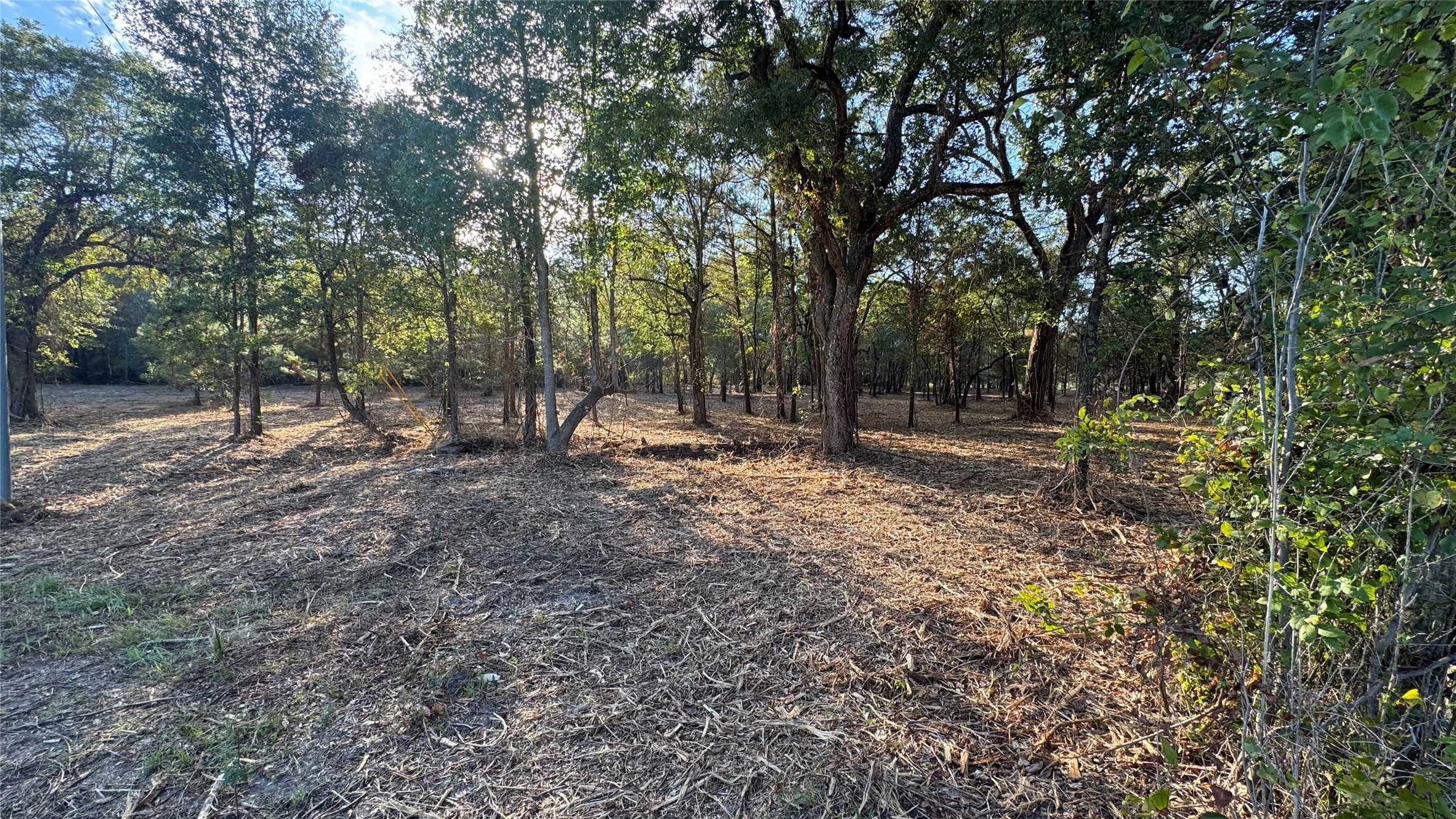 Tbd Fm 1791 Property Photo 17