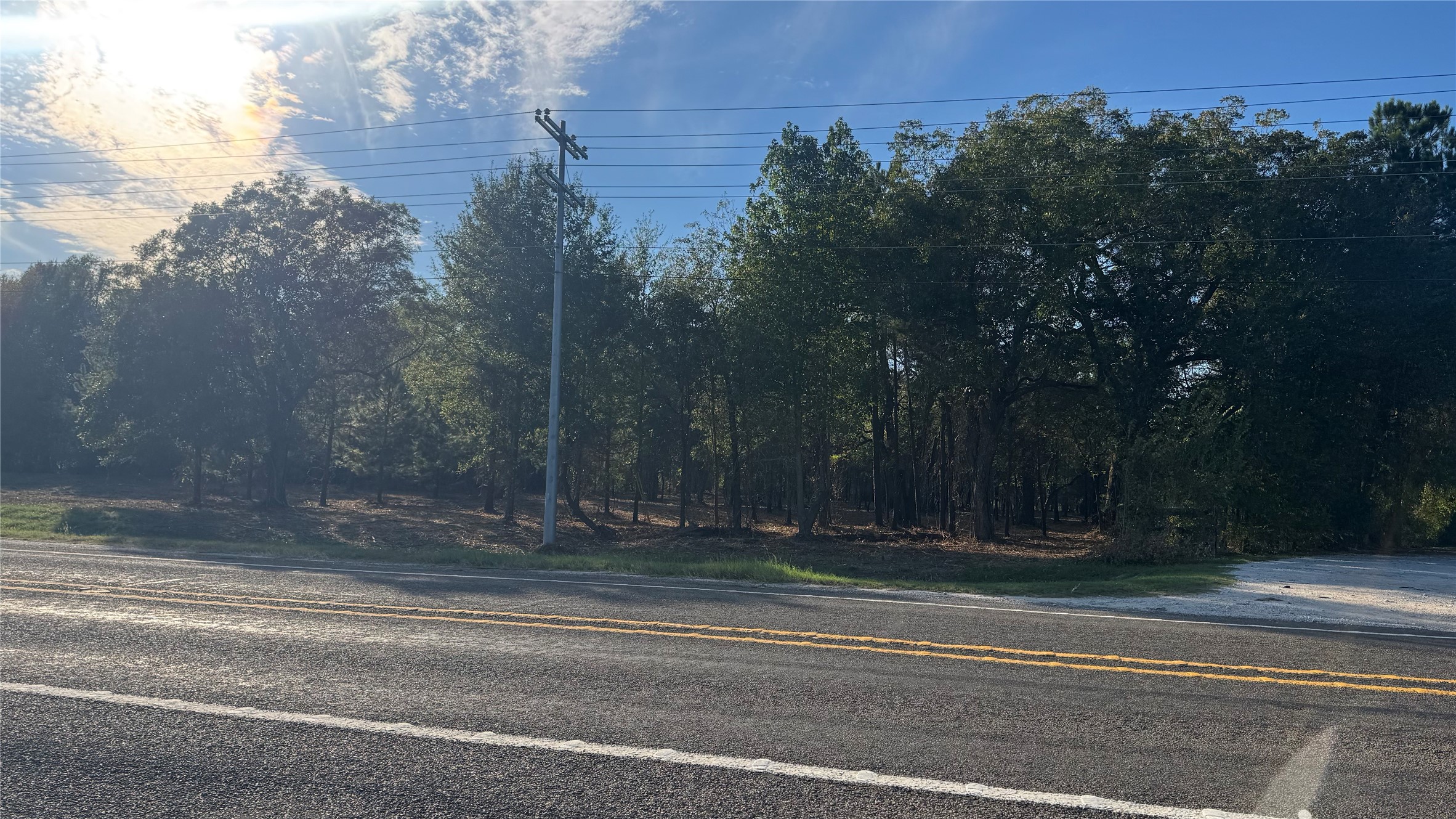 Tbd Fm 1791 Property Photo 19