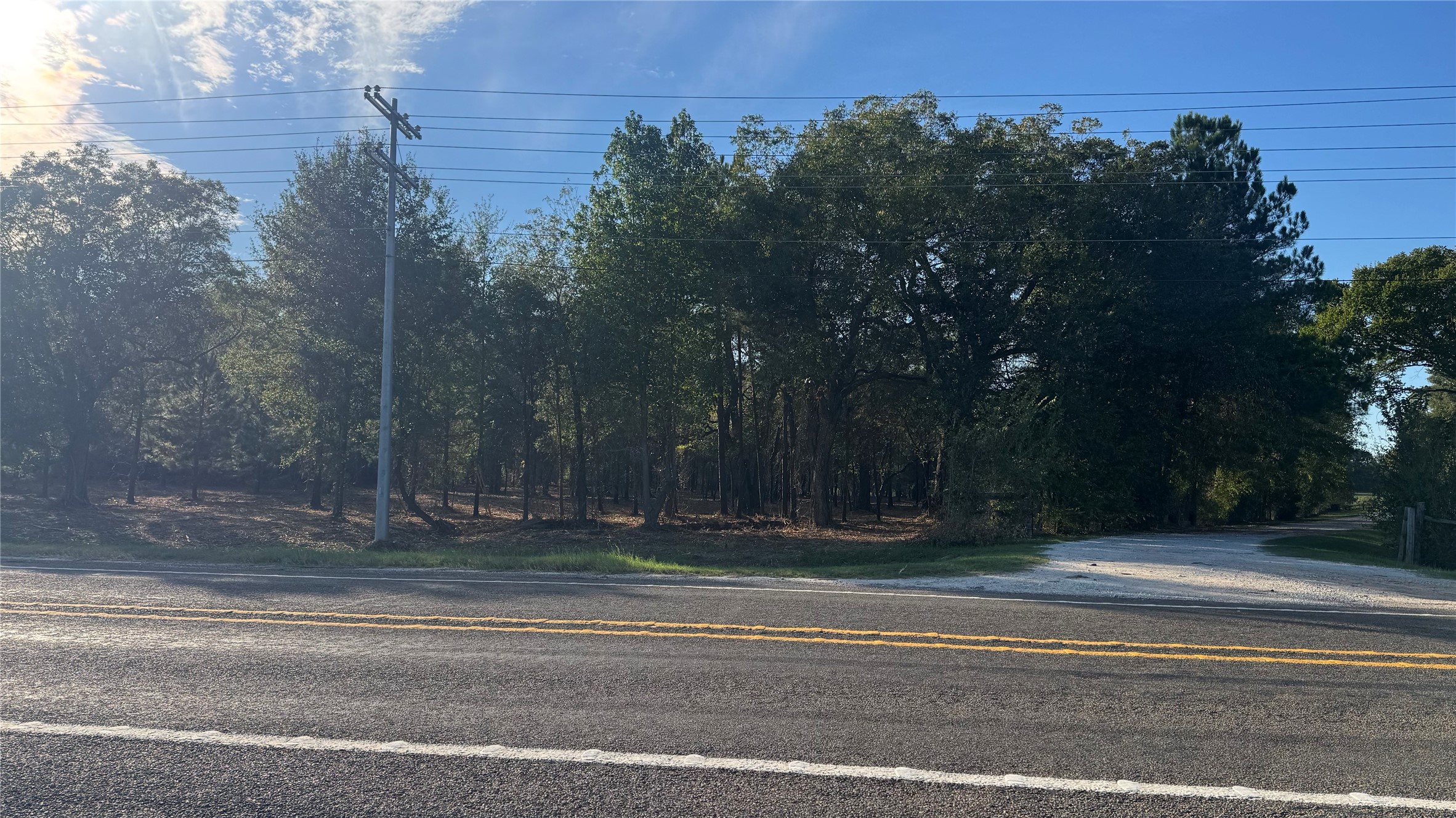 Tbd Fm 1791 Property Photo 20