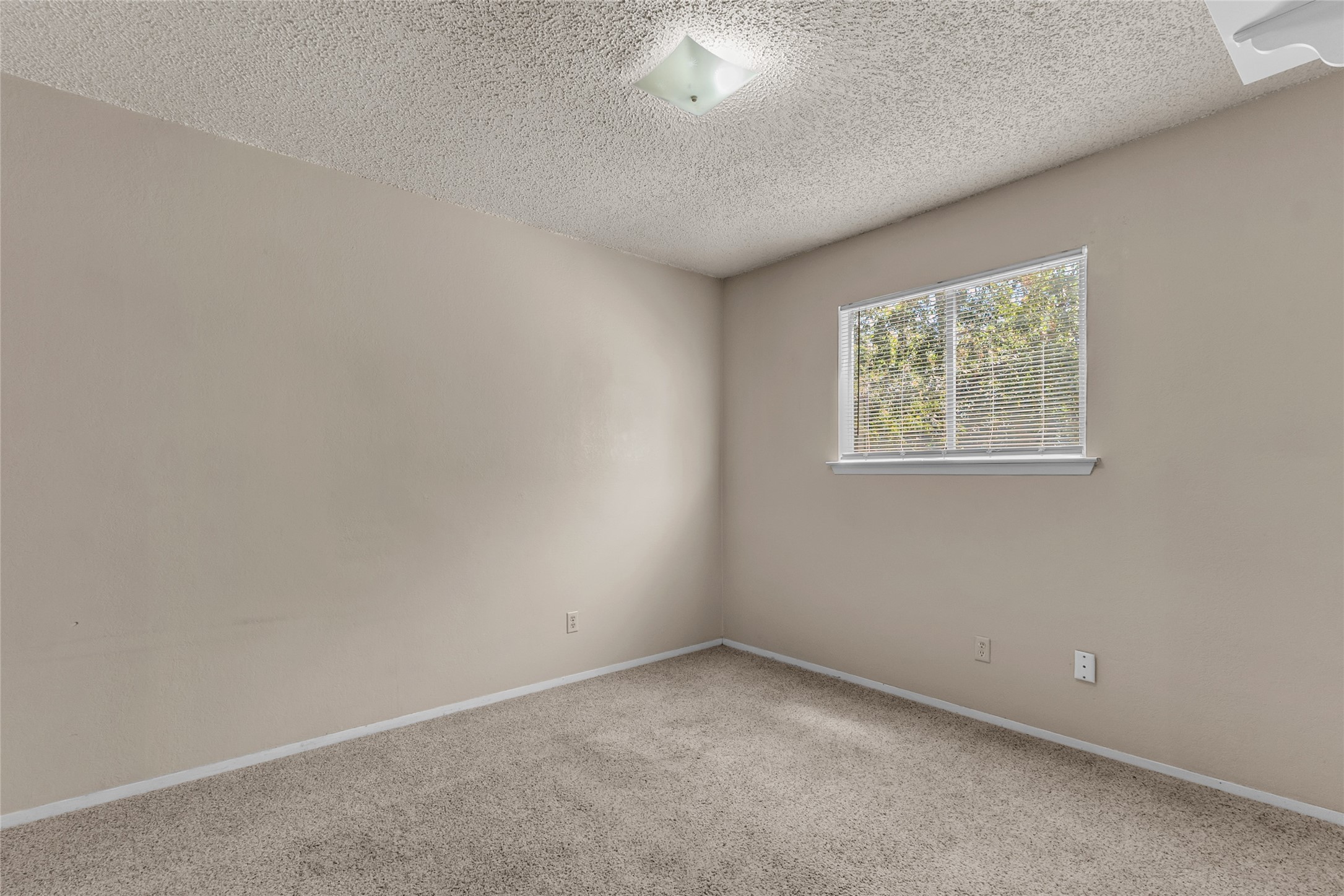 1516 Violet Avenue Property Photo 14