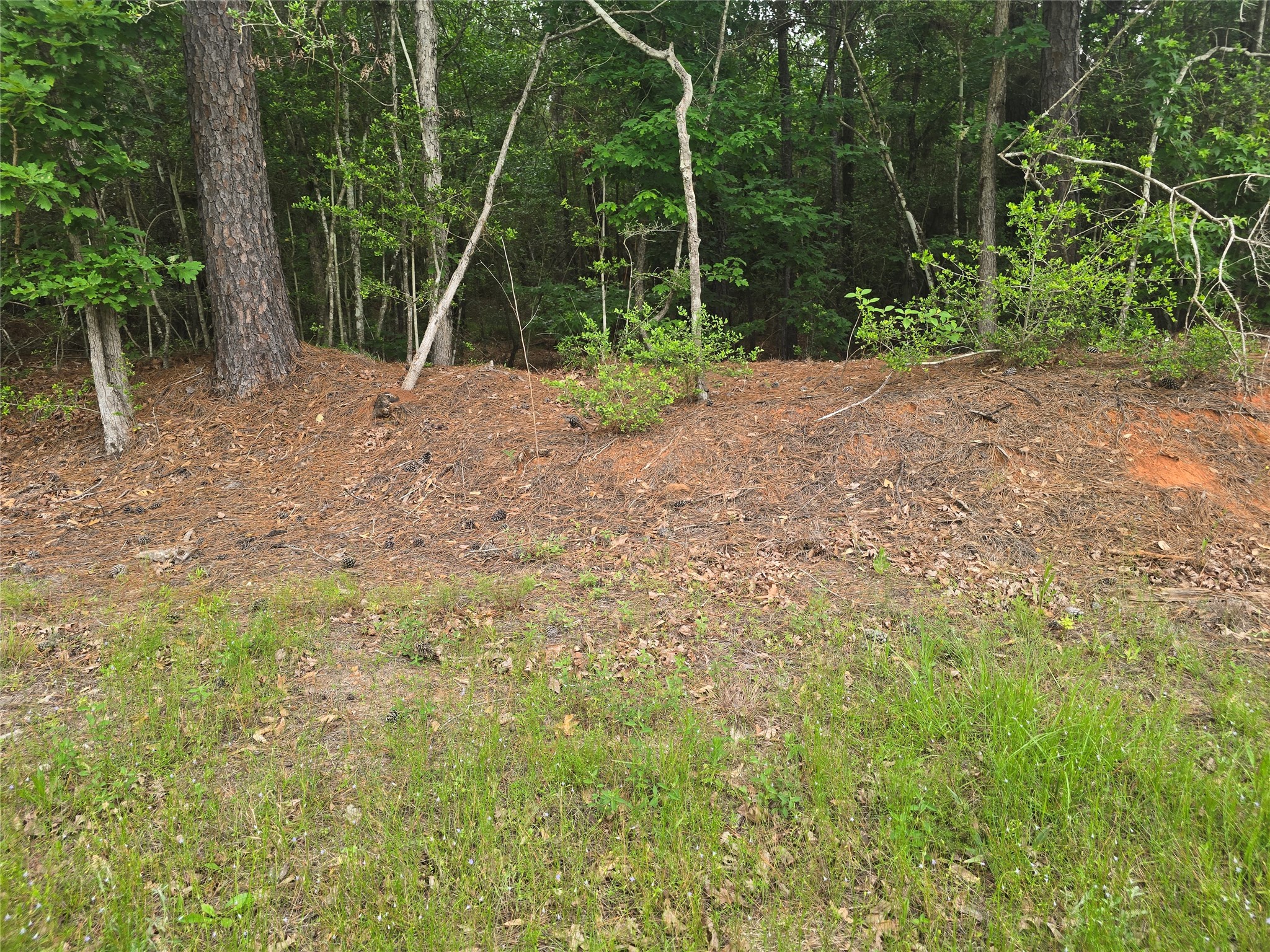 15386 Red Hawk Road Property Photo 11