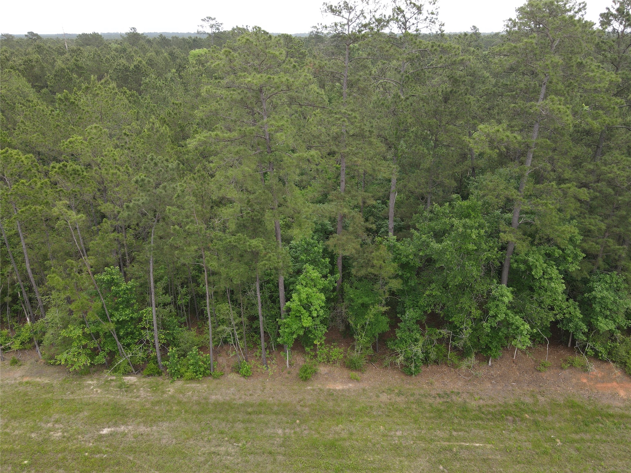 15386 Red Hawk Road Property Photo 15