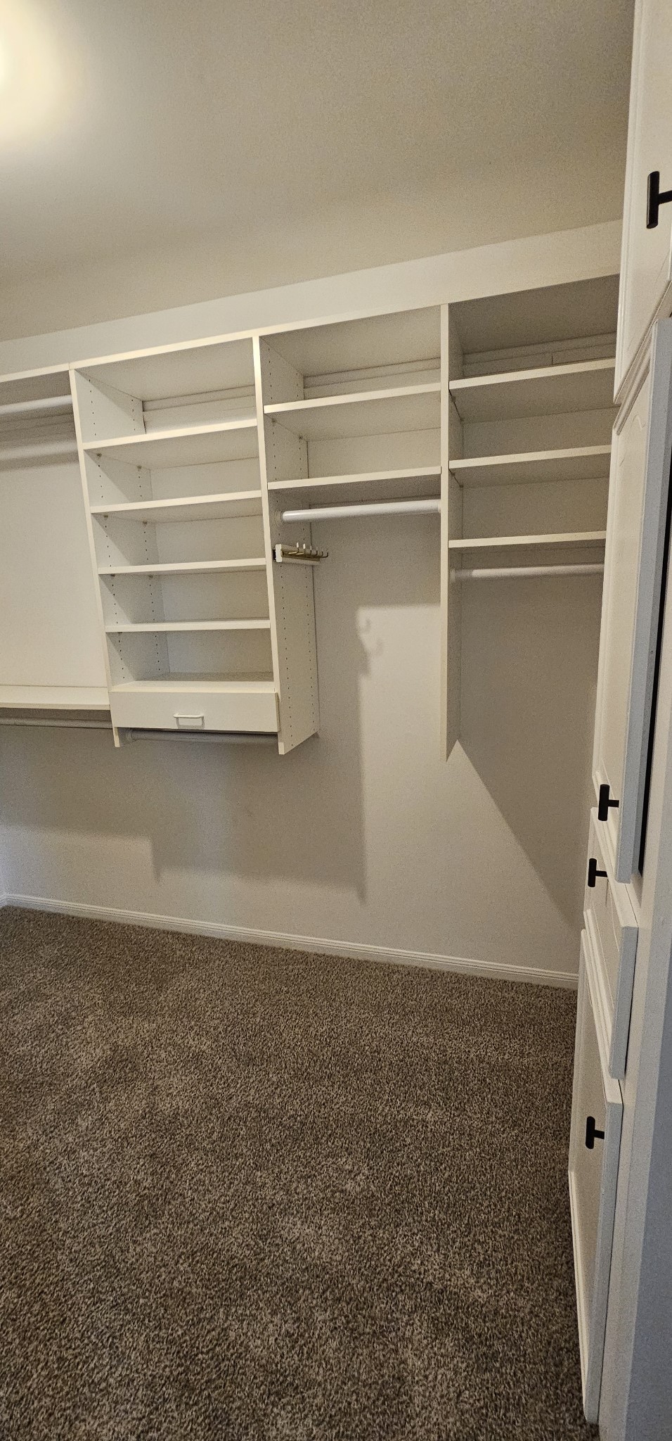 1015 Doral Lane Property Photo 19