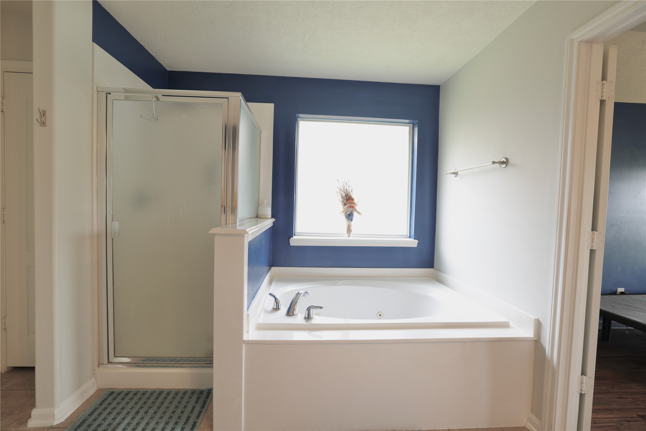 12406 Drake Prairie Lane Property Photo 14