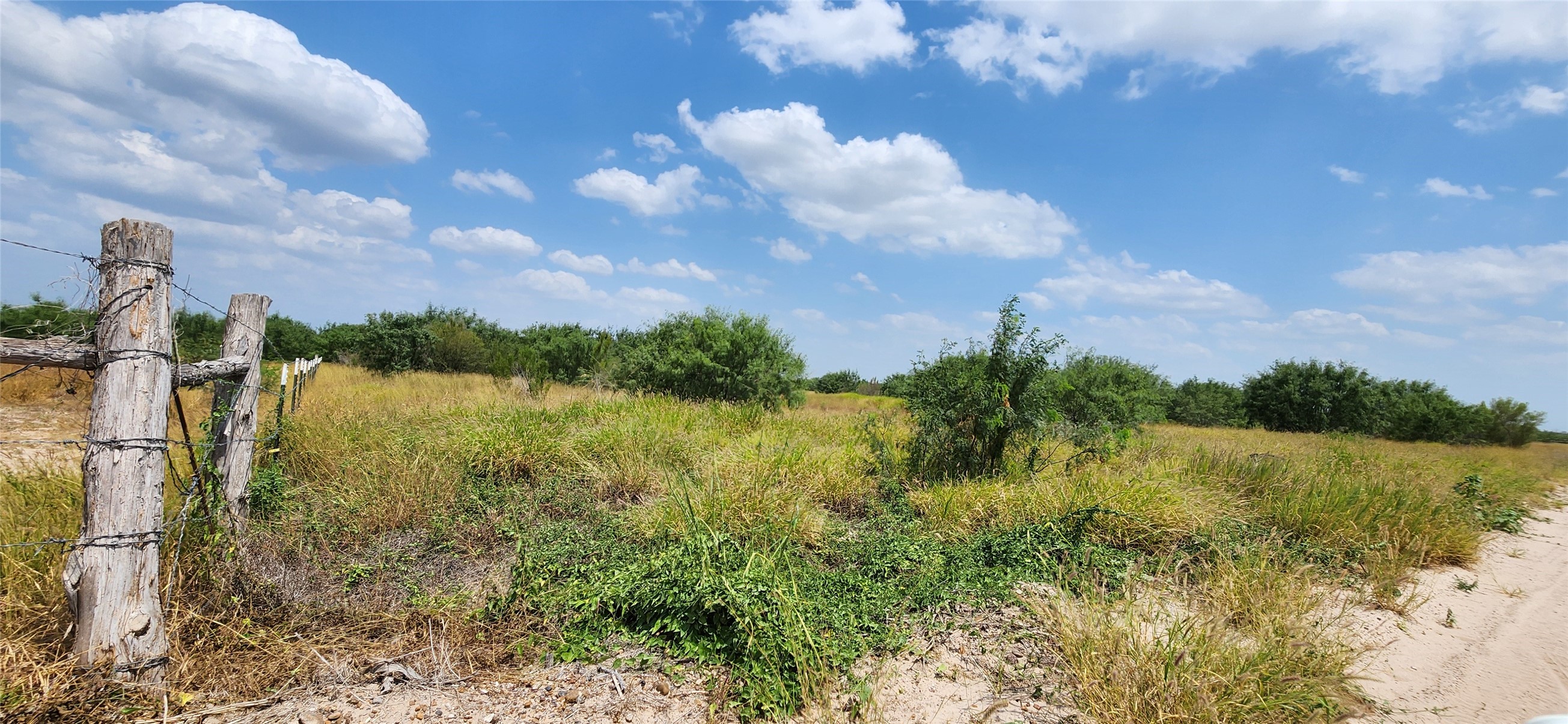 1770 Pimienta Road Property Photo 1