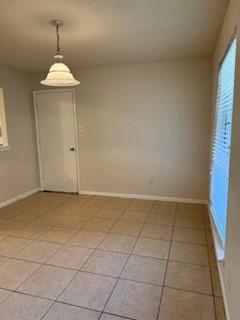 10118 Kirkbluff Drive Property Photo 3