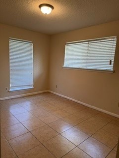10118 Kirkbluff Drive Property Photo 6