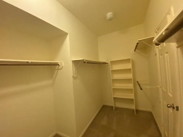 3526 Pine Valley Drive Property Photo 22