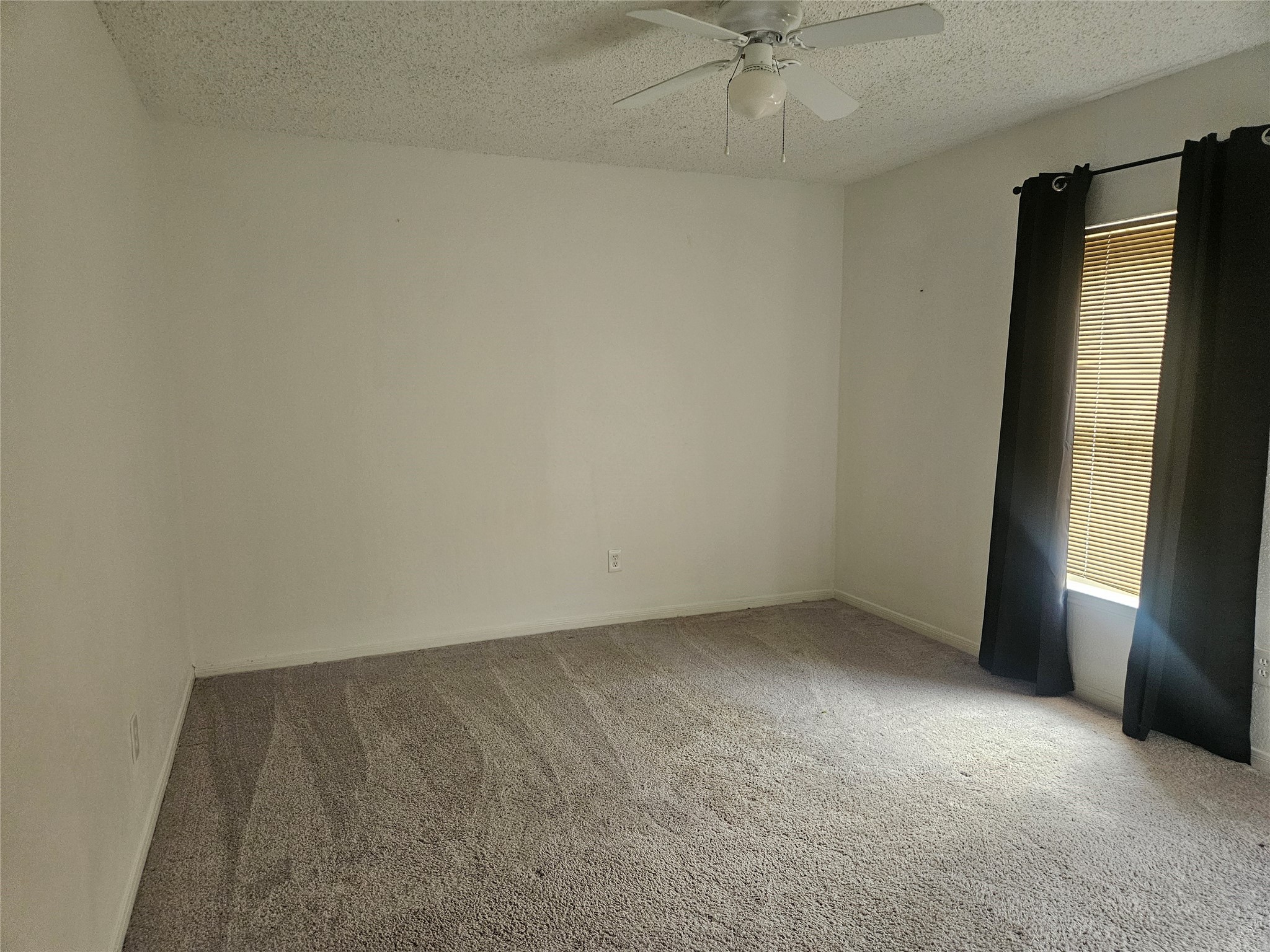 4543 Pioneer Trail Property Photo 10
