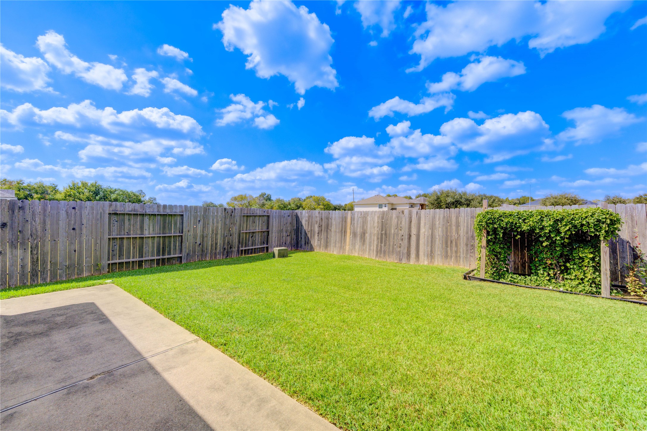 2922 Halcyon Time Trail Property Photo 50