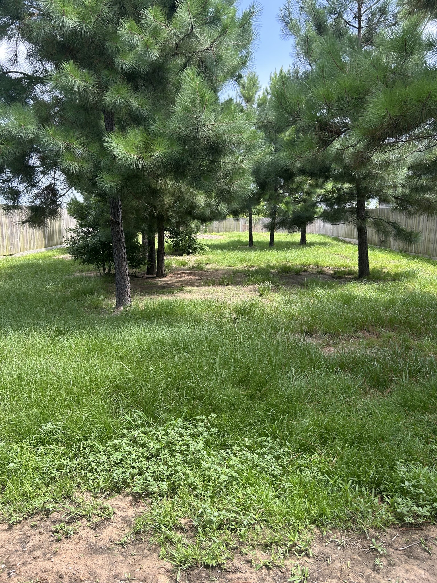 1418 Road 5607 Property Photo 13