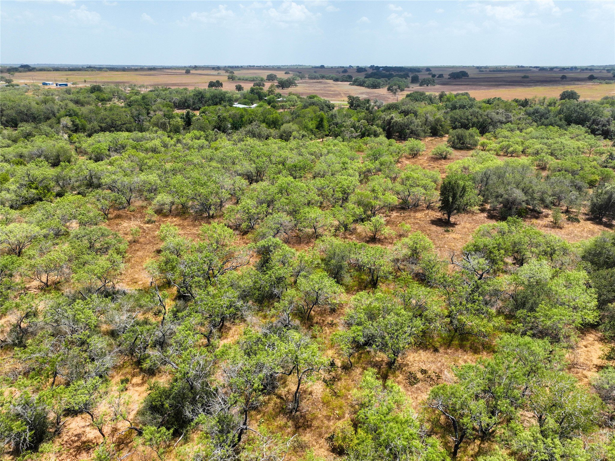 Lot 22 Cr 124 Road Property Photo 17