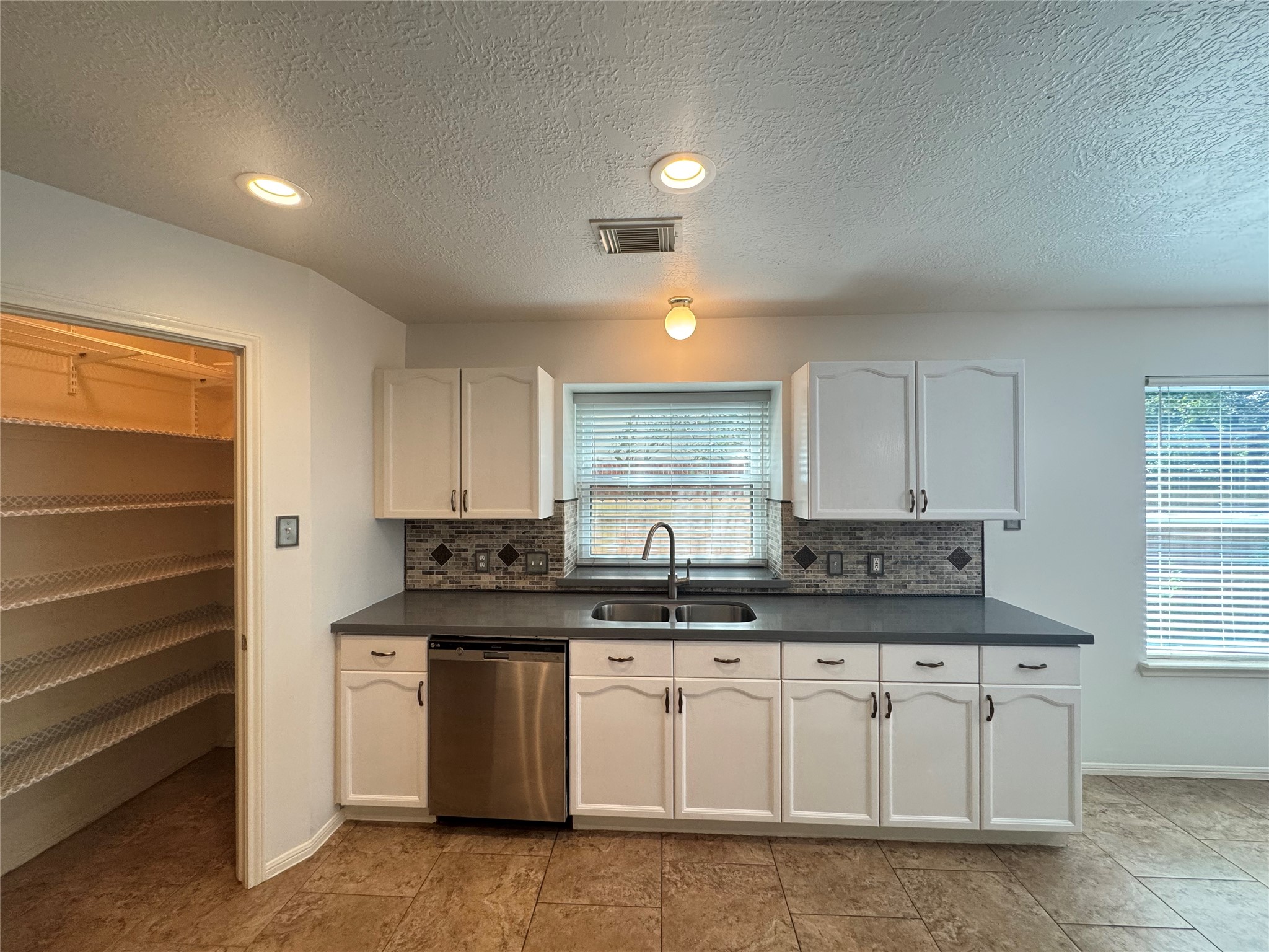 210 Rolling Plains Drive Property Photo 11