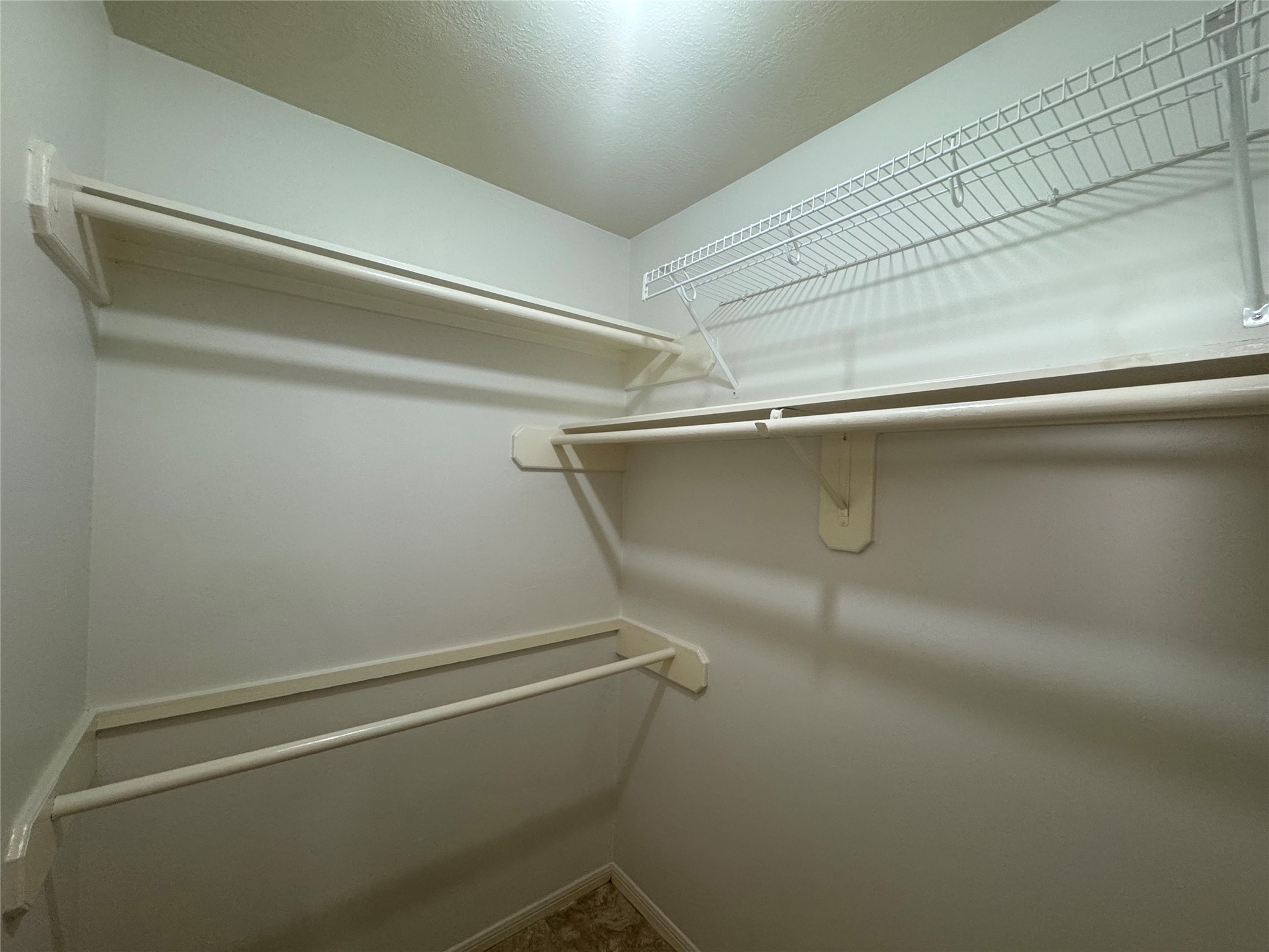 210 Rolling Plains Drive Property Photo 25