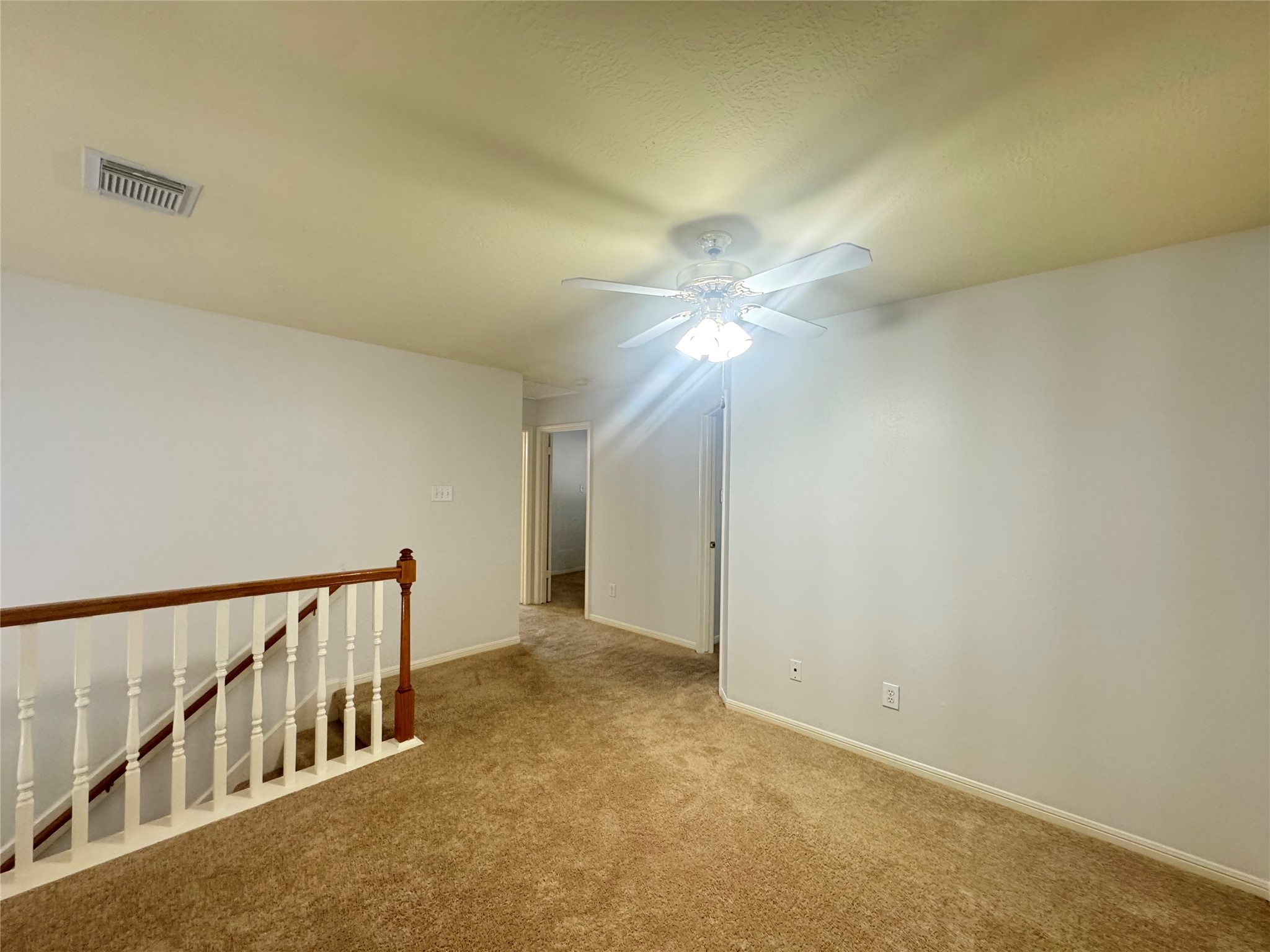 210 Rolling Plains Drive Property Photo 32
