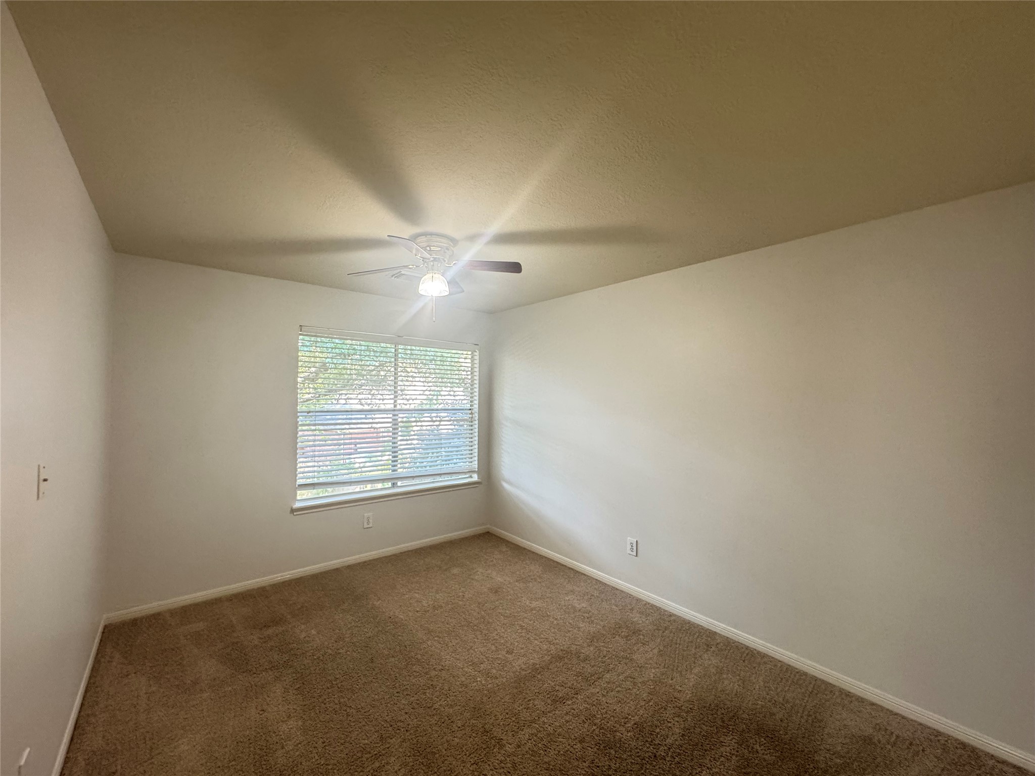 210 Rolling Plains Drive Property Photo 34