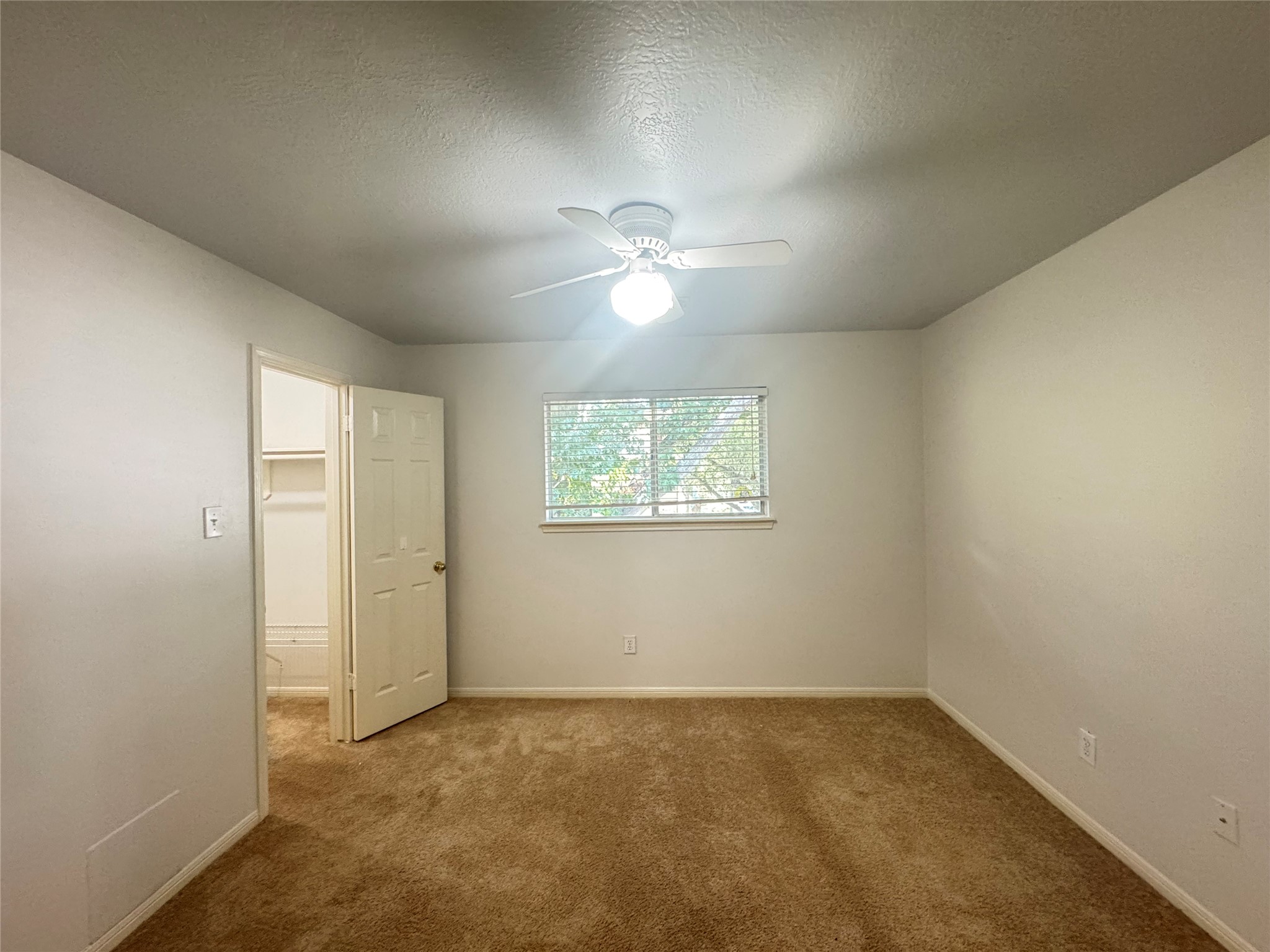 210 Rolling Plains Drive Property Photo 37