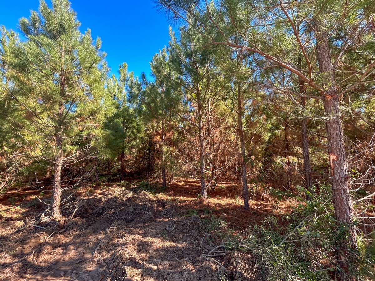8 County Road 3121 Property Photo 10