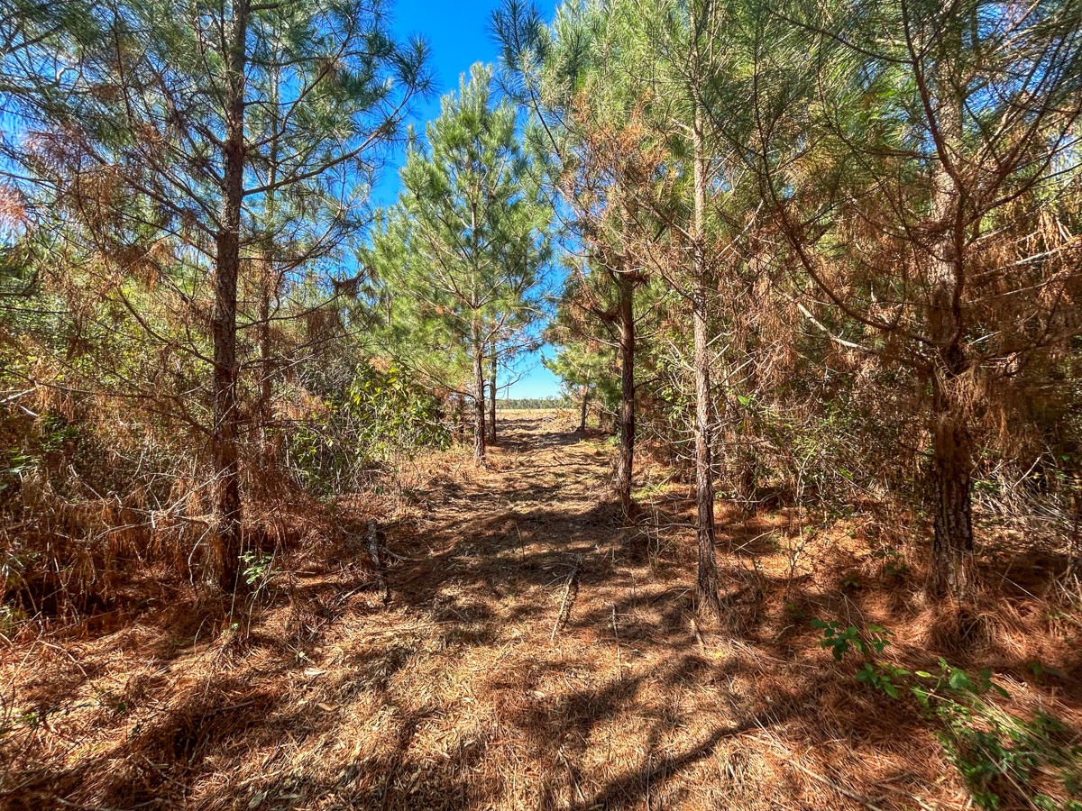 8 County Road 3121 Property Photo 13
