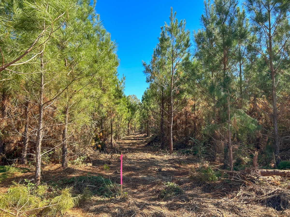 8 County Road 3121 Property Photo 14