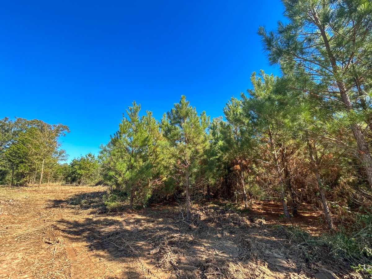 8 County Road 3121 Property Photo 16
