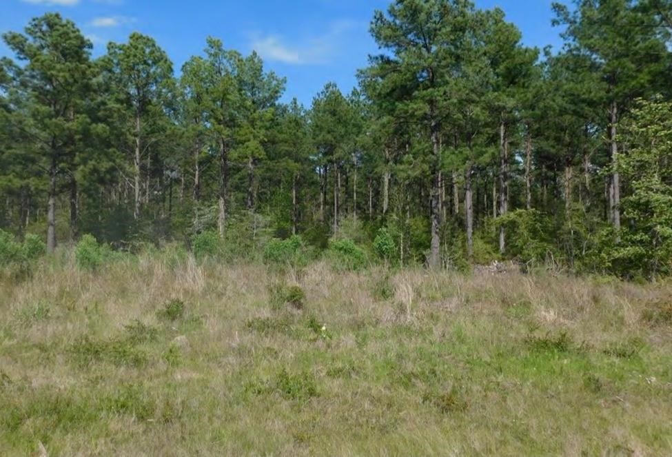 Tbd Martin Cochran Rd Property Photo