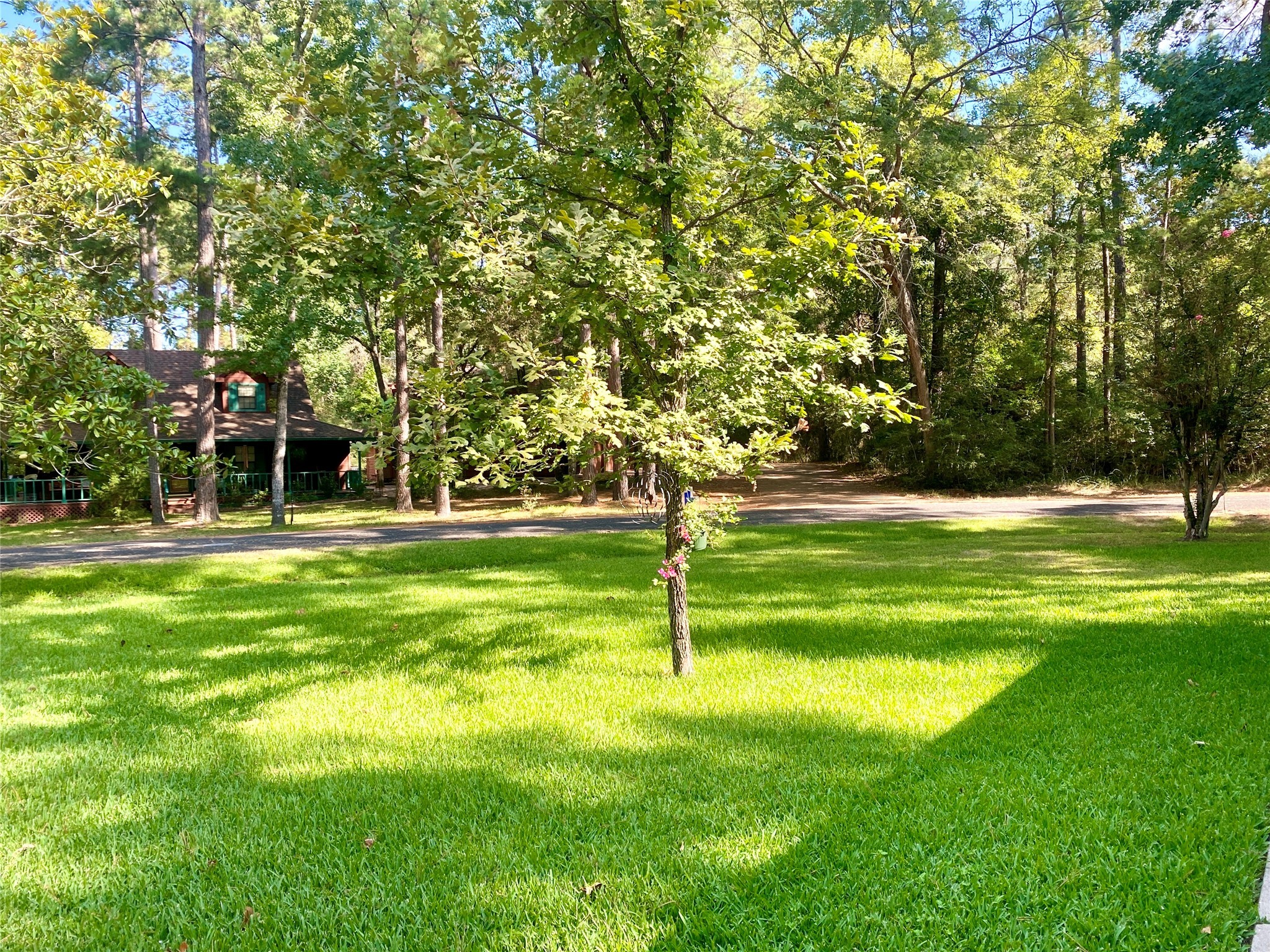 36 Corkwood Road Property Photo 4