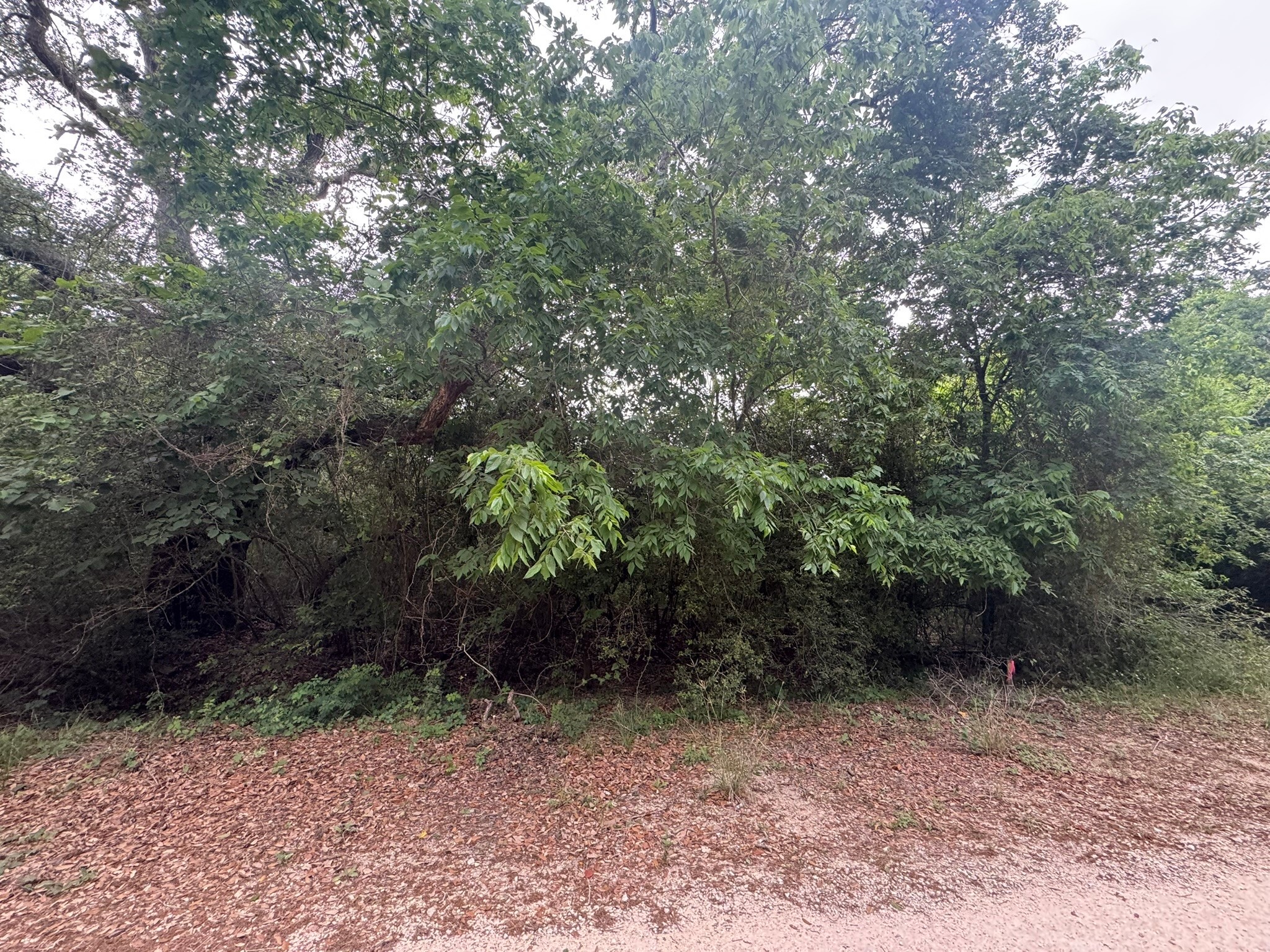 Tbd Grand Oak 1 Property Photo 1