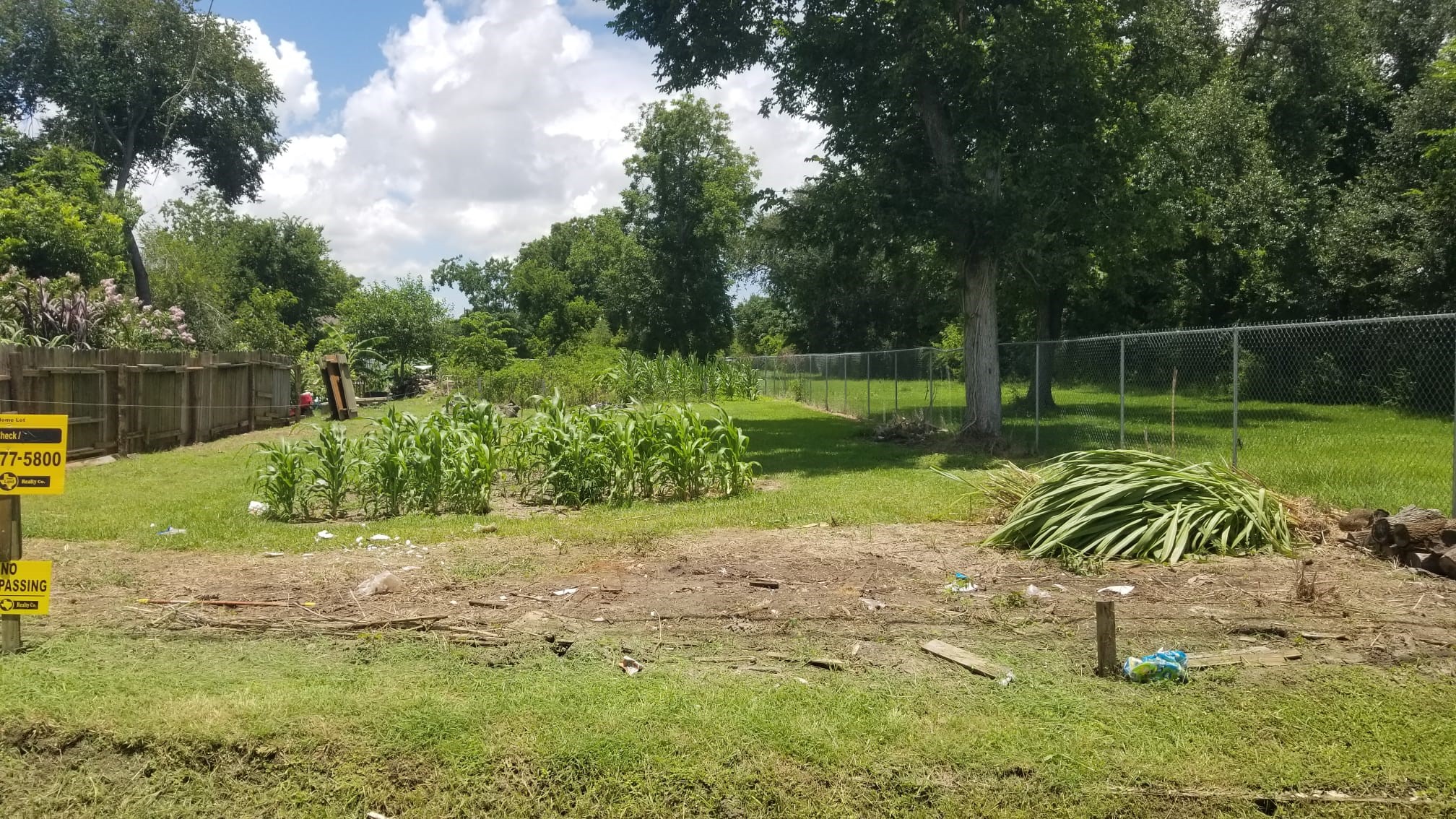 0 N Martin Luther King Property Photo 7