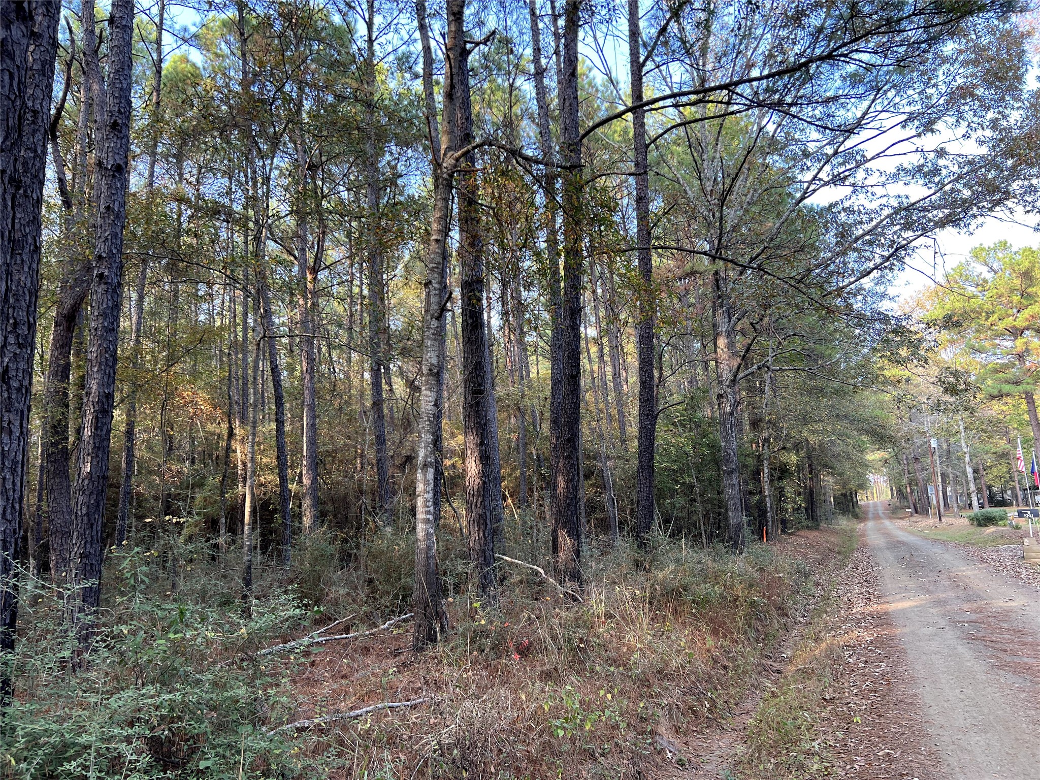 214 County Rd 2940 Property Photo 1