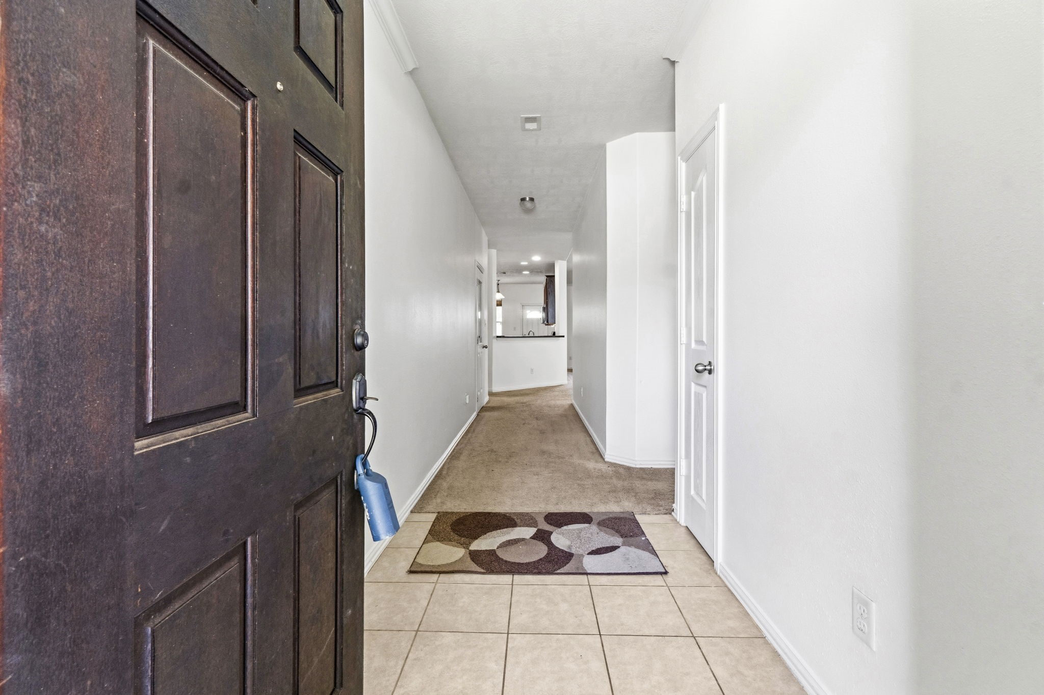 8203 Loetsch Ridge Way Property Photo 6