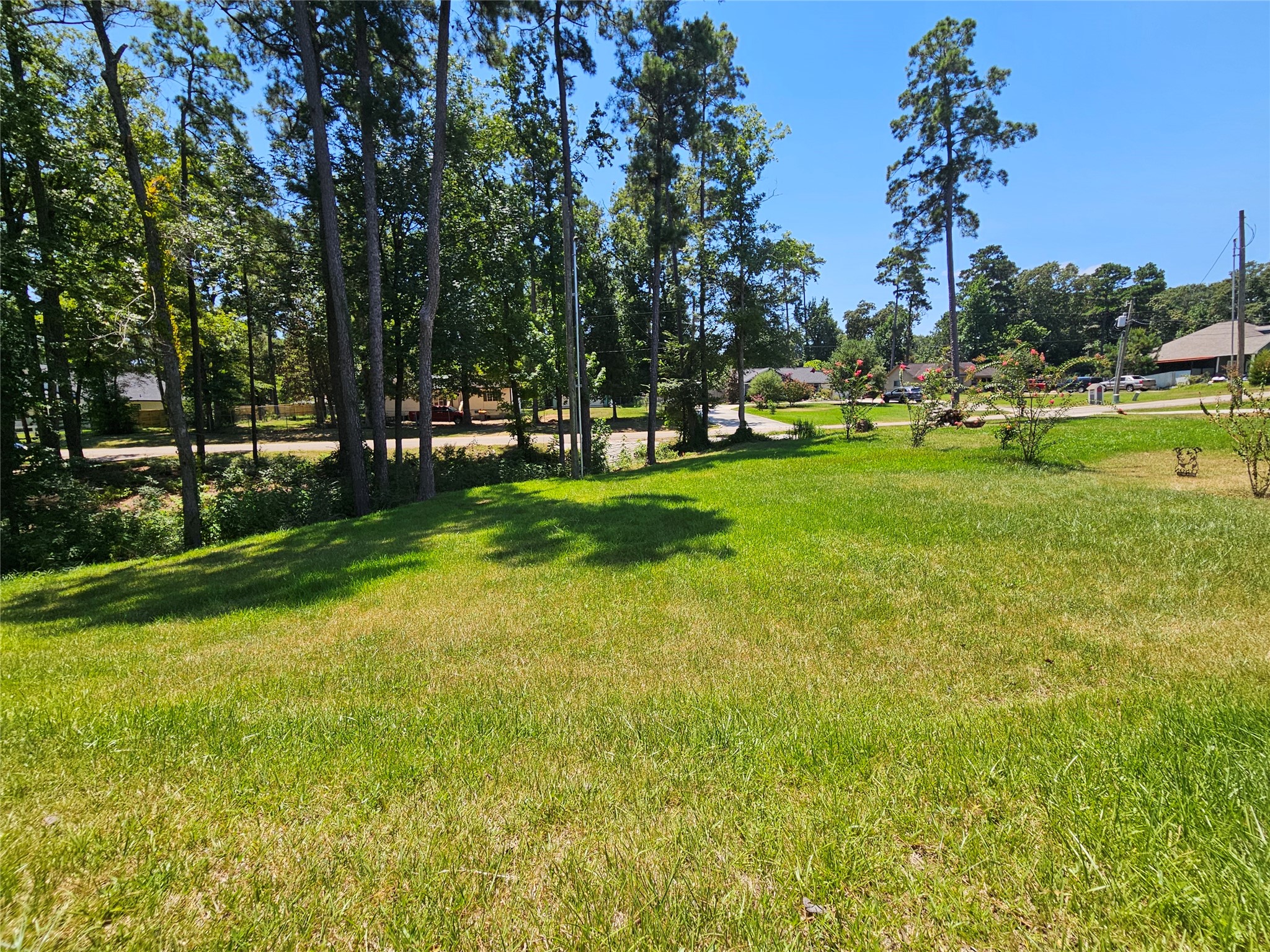 10761 Royal Terrell Drive Property Photo 22