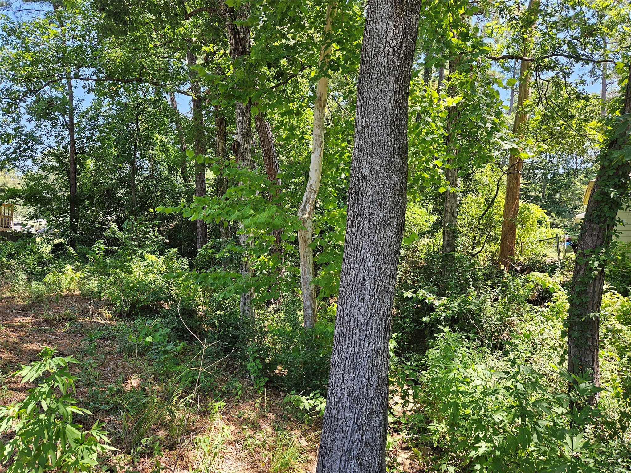 10761 Royal Terrell Drive Property Photo 29