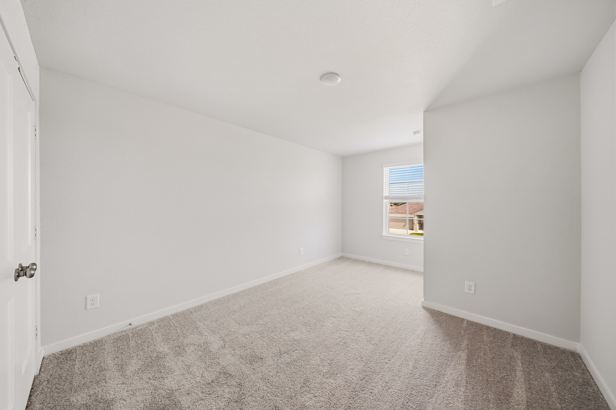 26215 Venus Trap Trail Property Photo 4