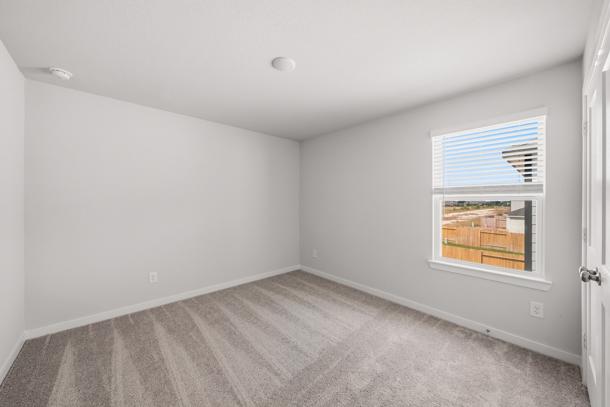26215 Venus Trap Trail Property Photo 5