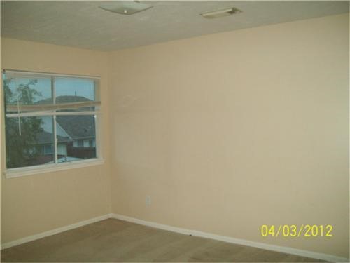4702 Daisy Meadow Drive Property Photo 5