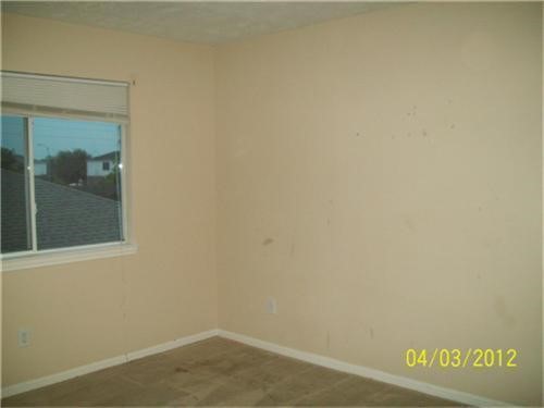 4702 Daisy Meadow Drive Property Photo 9