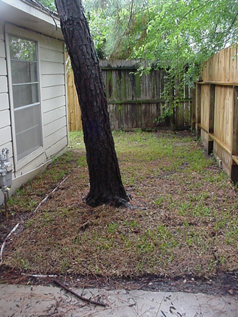 10826 Sugar Hill Drive B Property Photo 5