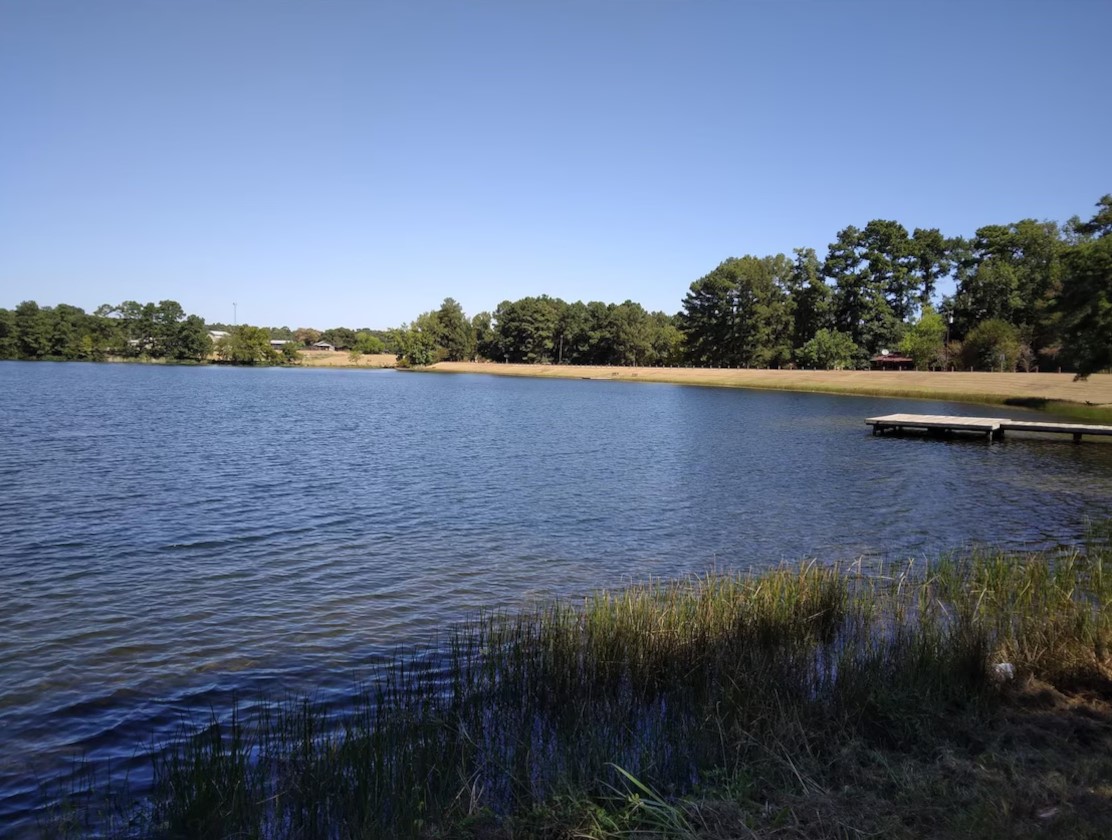 10731 Royal Terrell Drive Property Photo 31