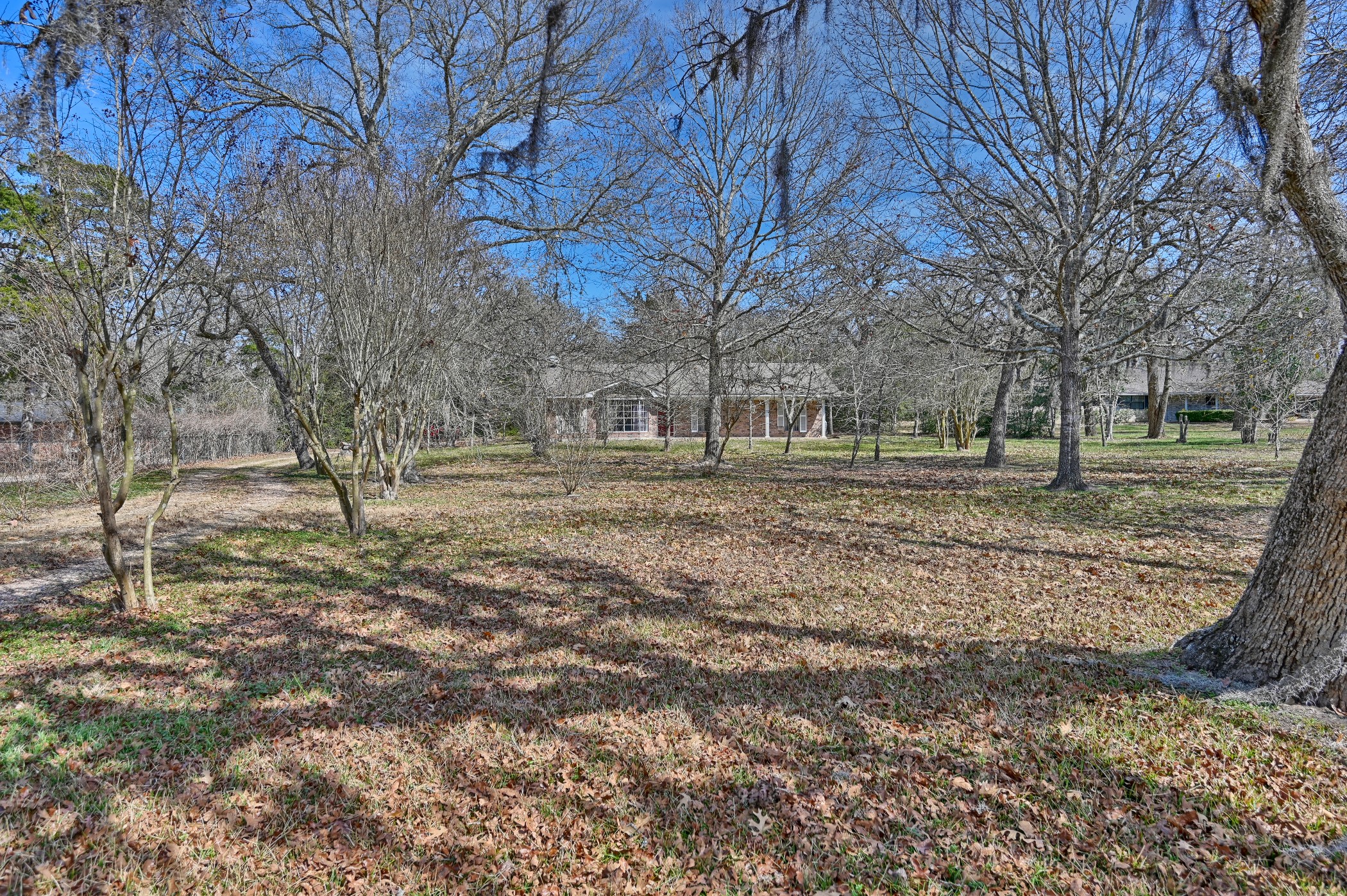 176 Fm 2679 Property Photo 1