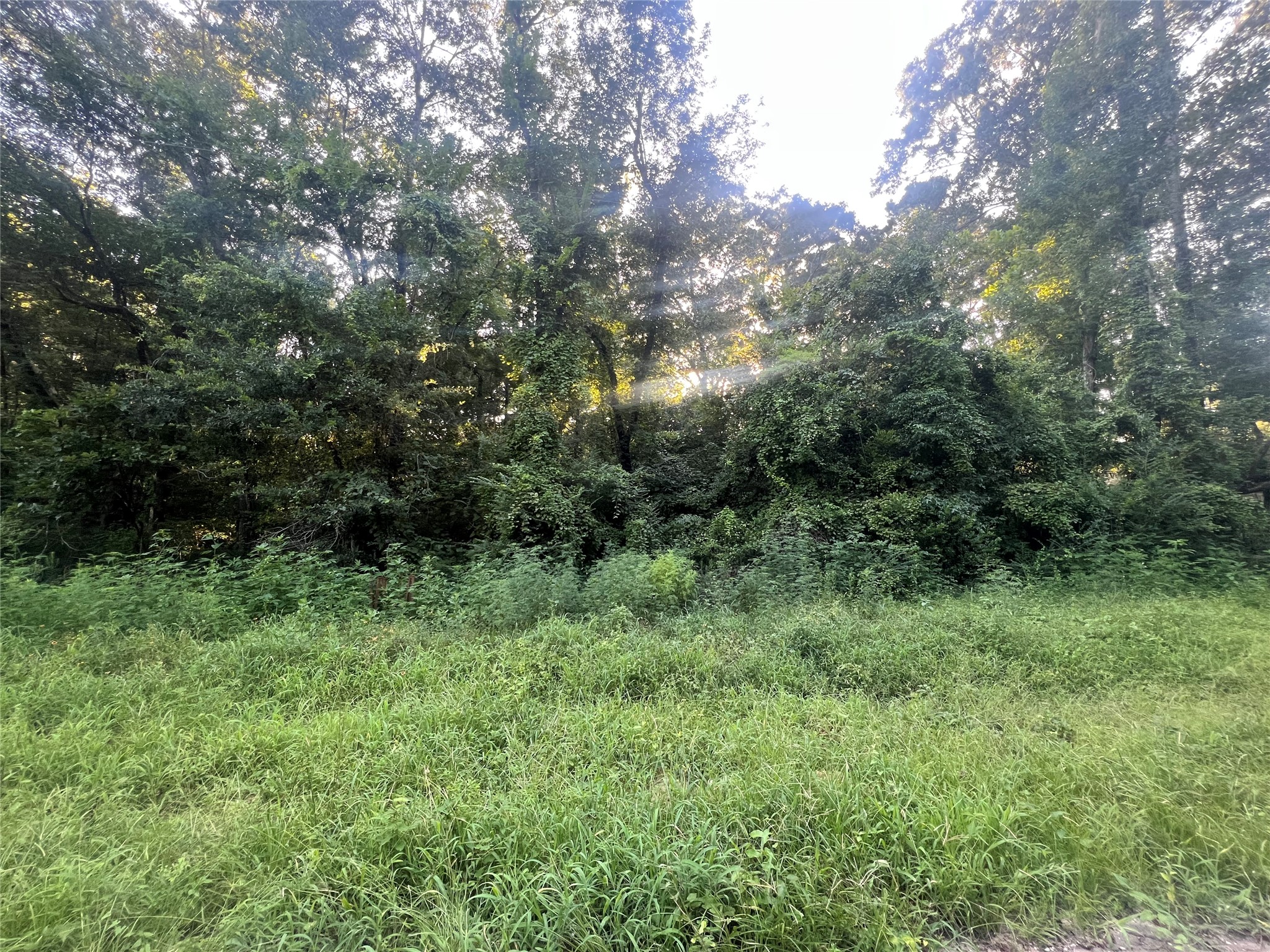 N/A Royal Creek Rd Property Photo 1