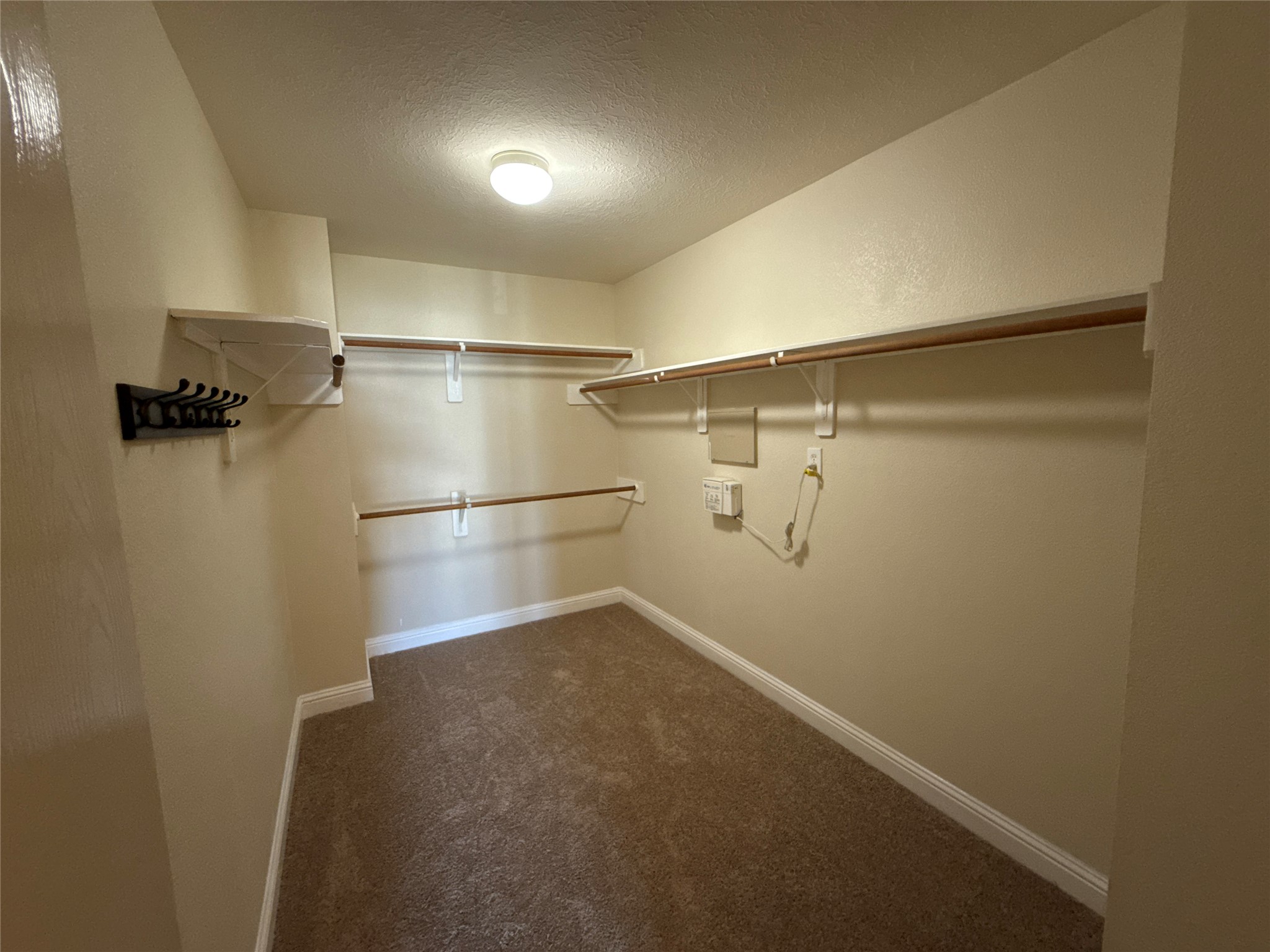 3115 Ribbon Creek Way Property Photo 13