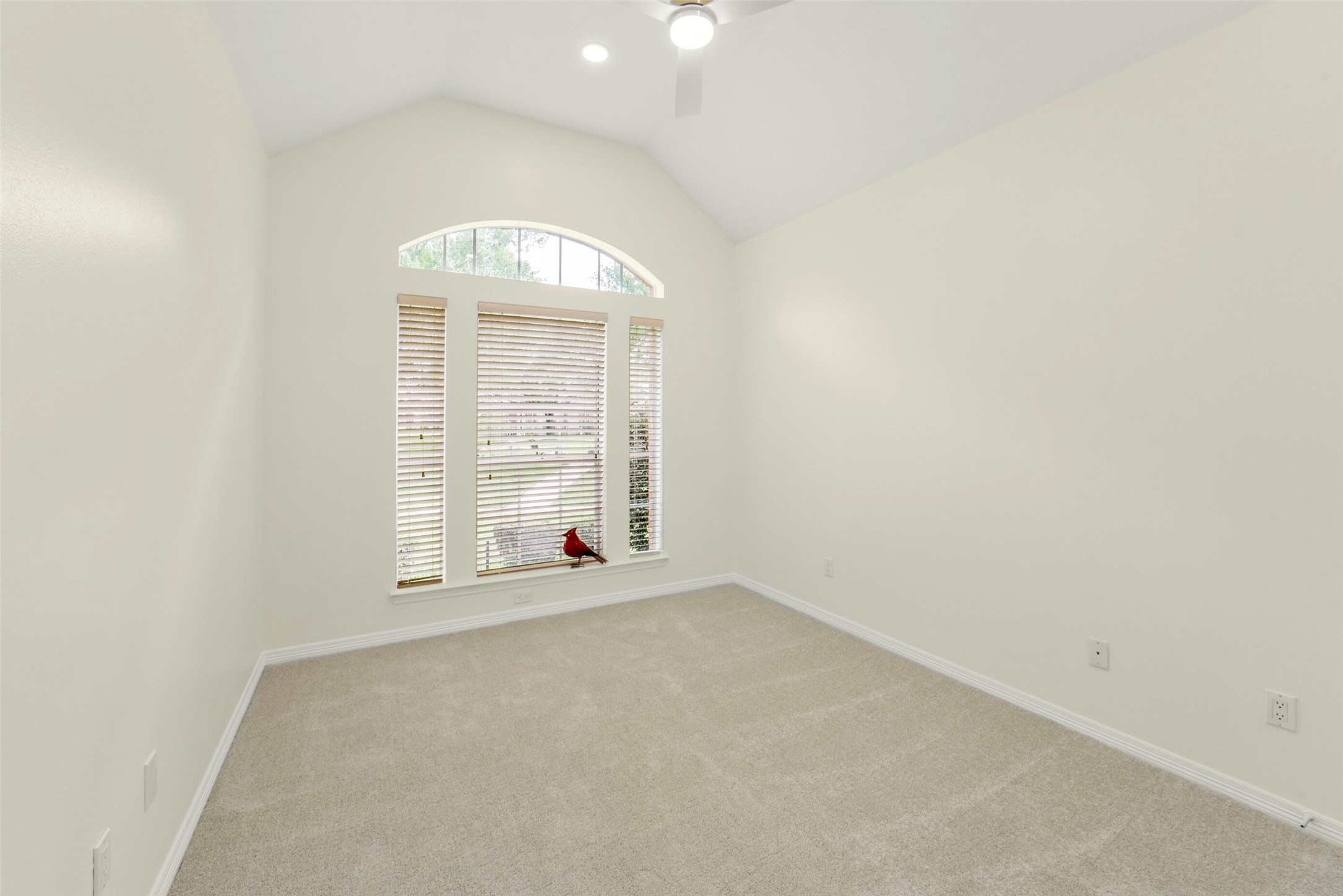 6885 Tournament Drive Property Photo 9